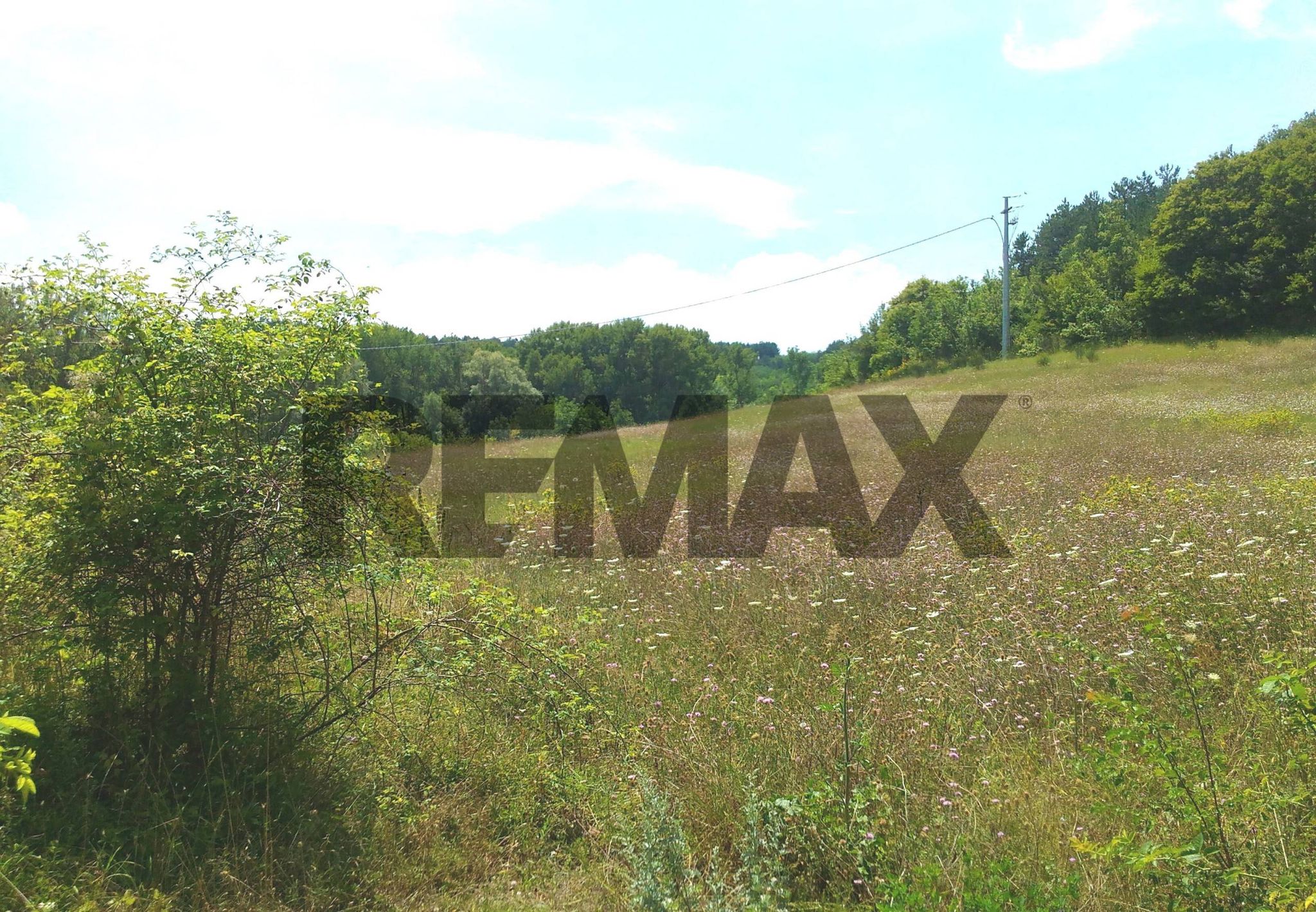 Property in San Pio delle Camere