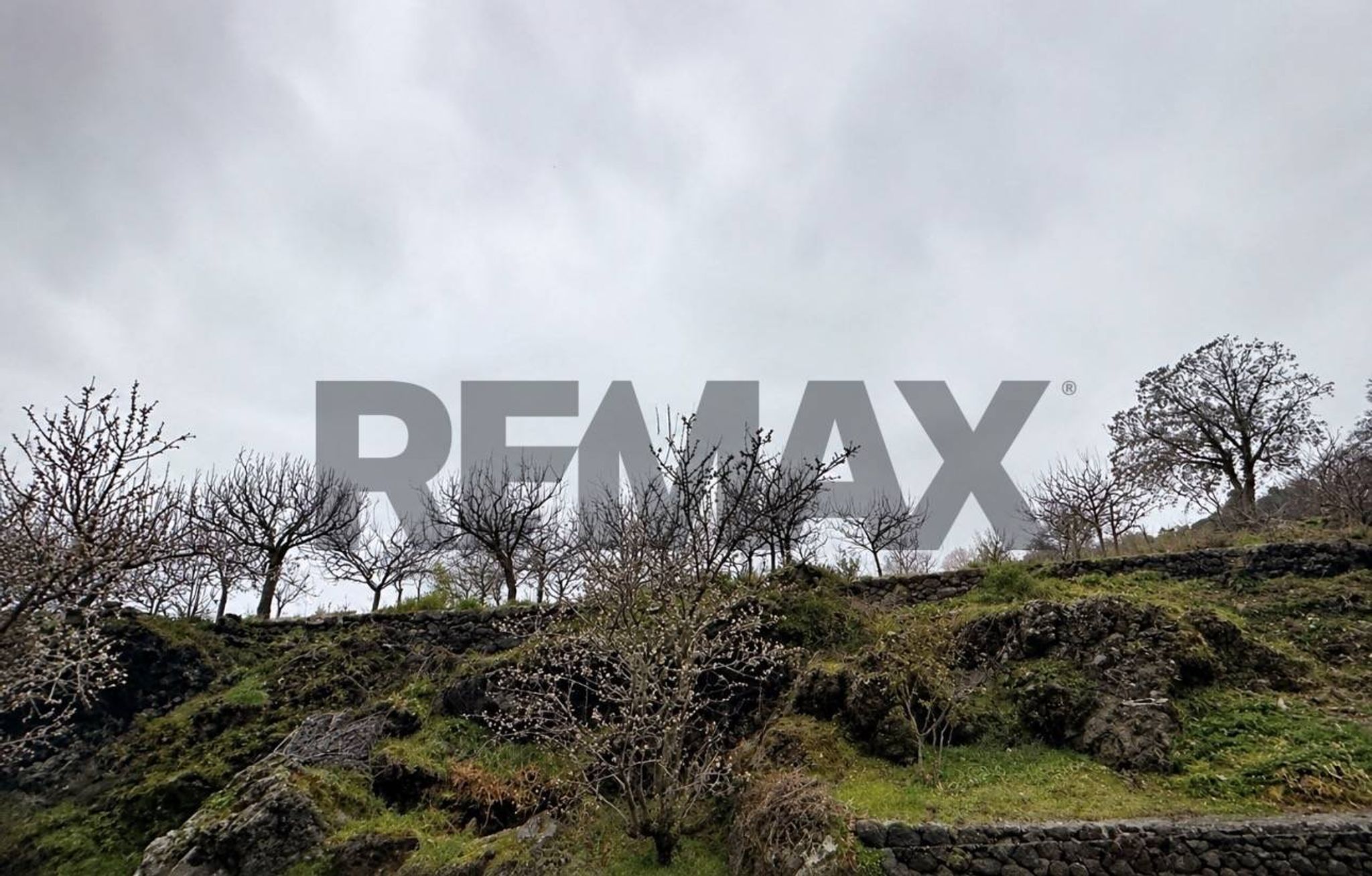 Property in Ragalna