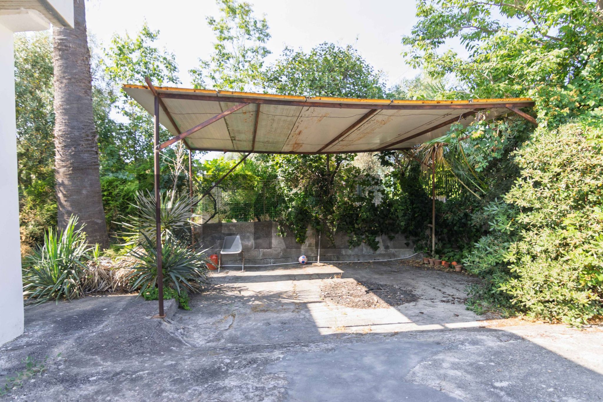 Giardino
