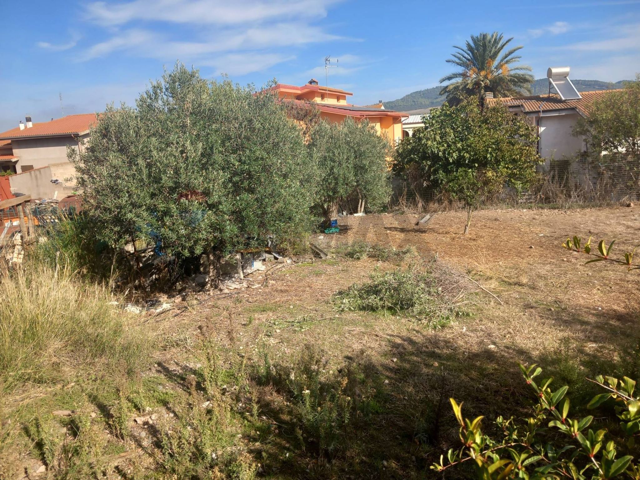 Giardino