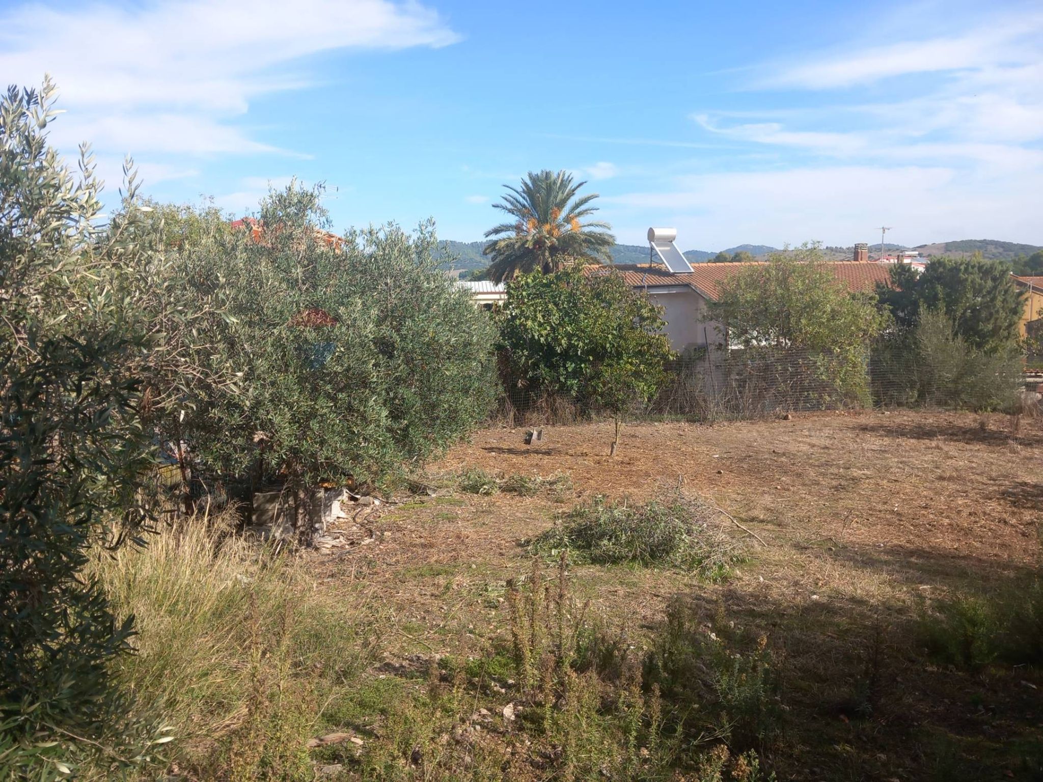 Giardino