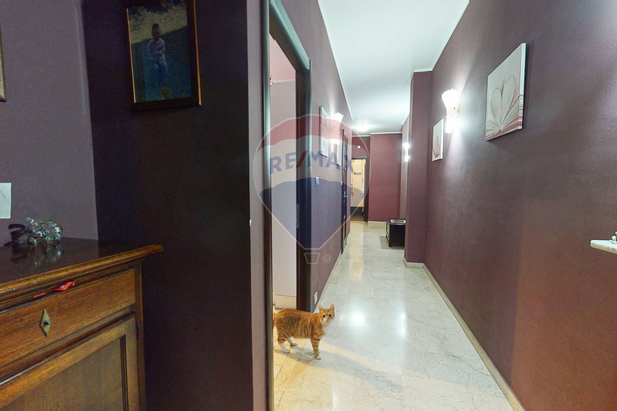 Hall / corridoio
