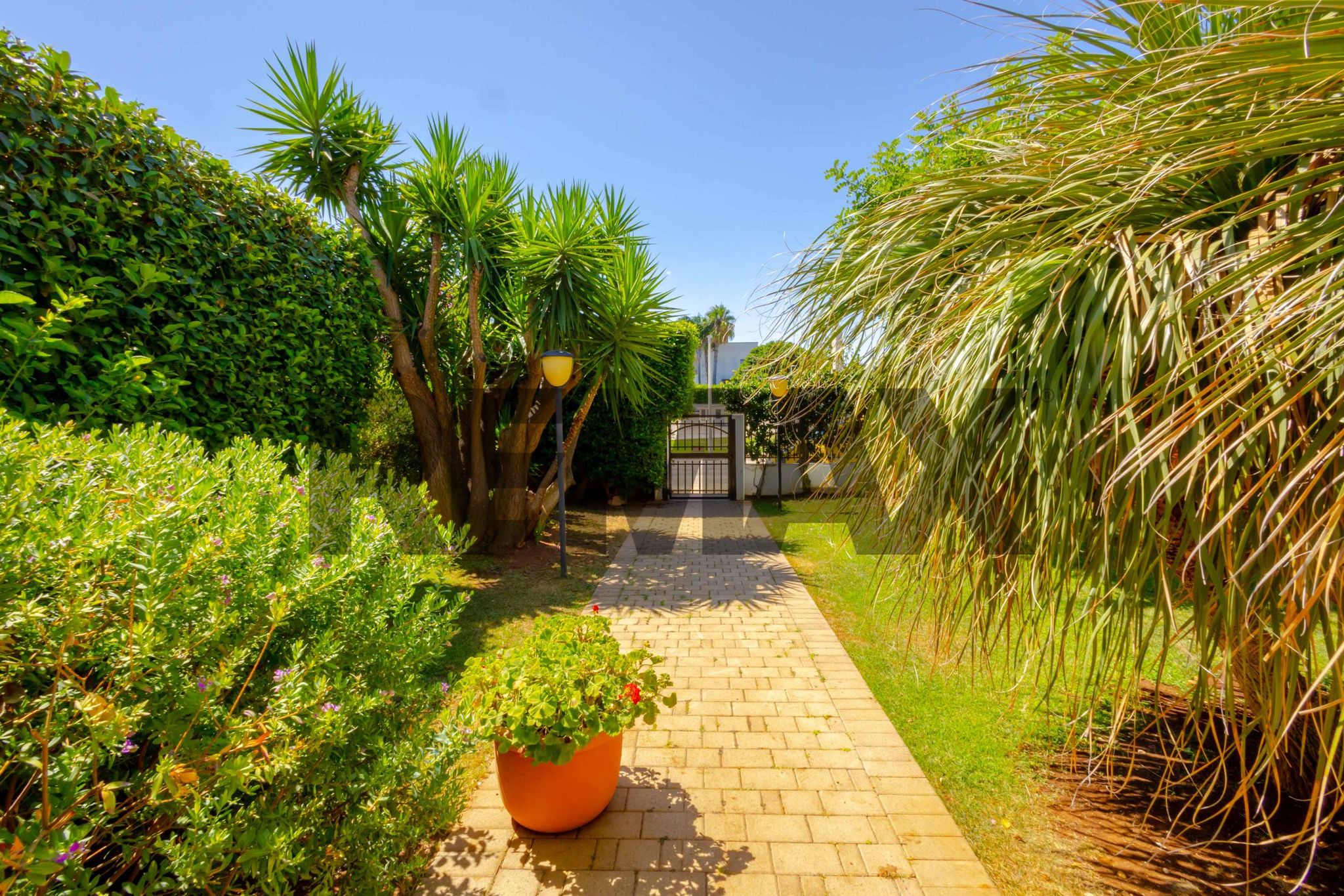 Giardino
