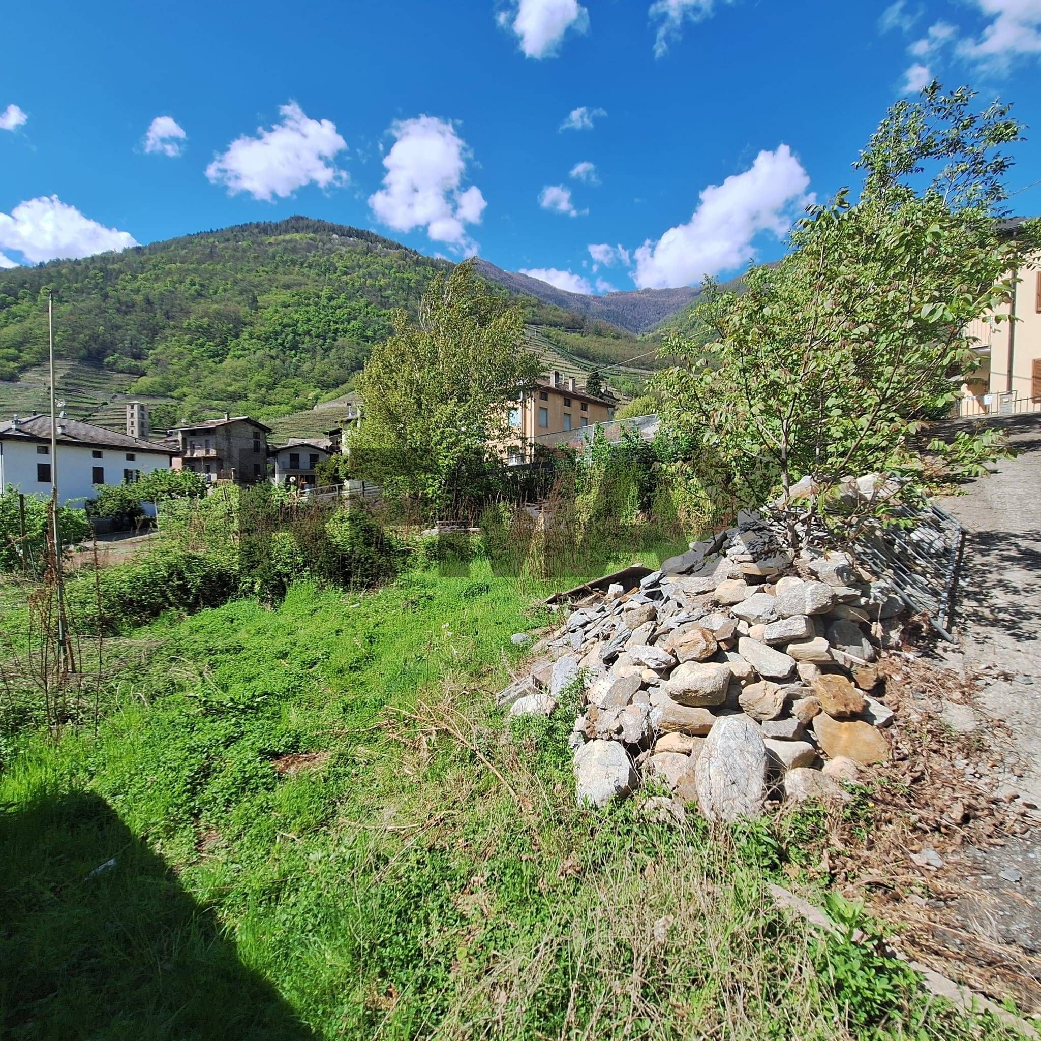 Vista delle montagne