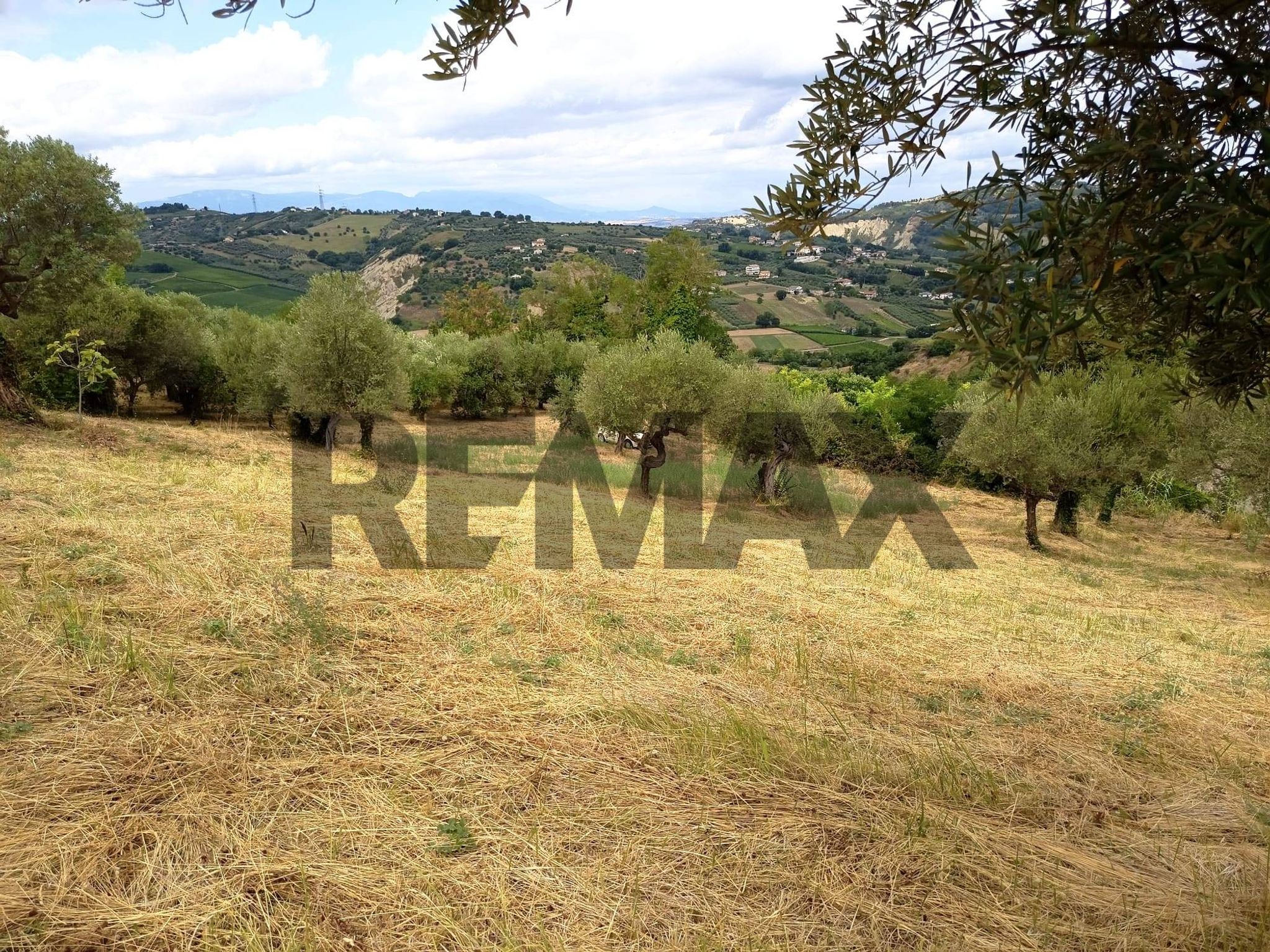 Vista delle montagne