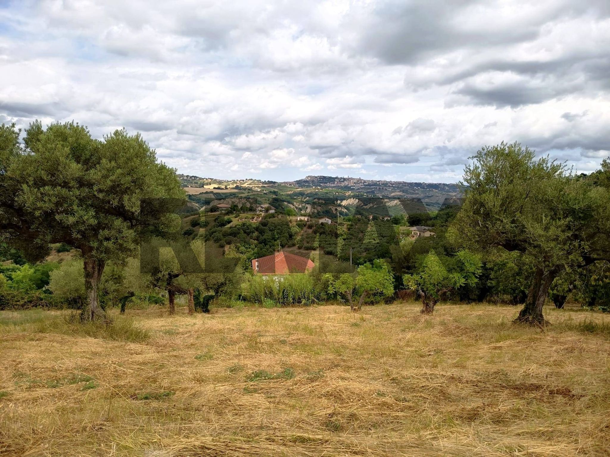 Vista delle montagne