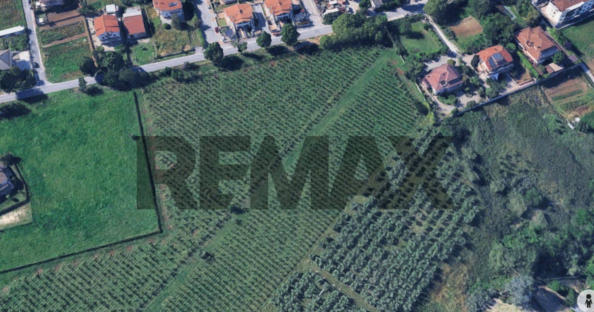 Posizione della mappa