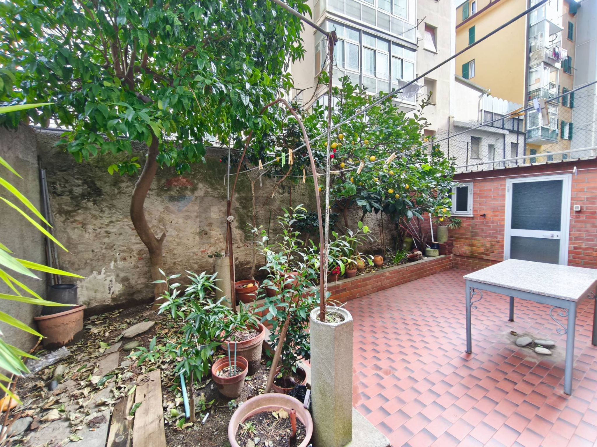Terrazza