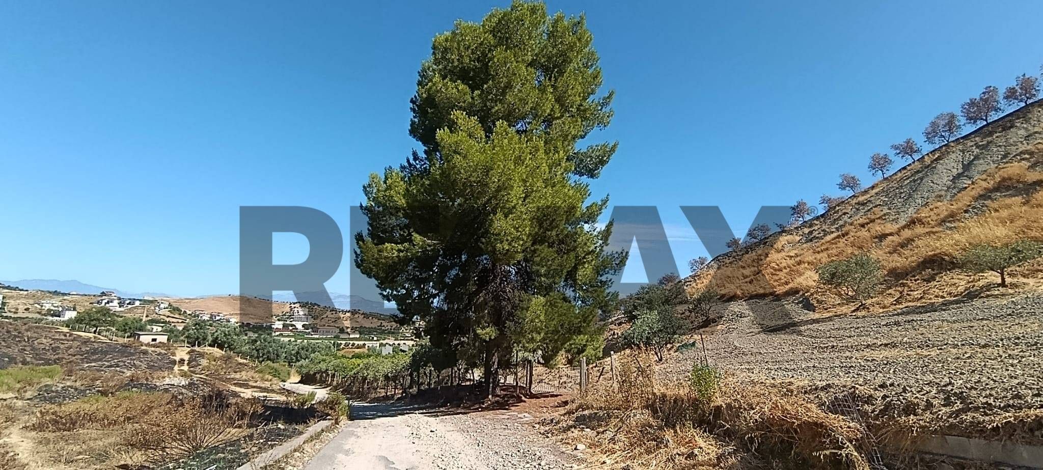Property in Corigliano-Rossano