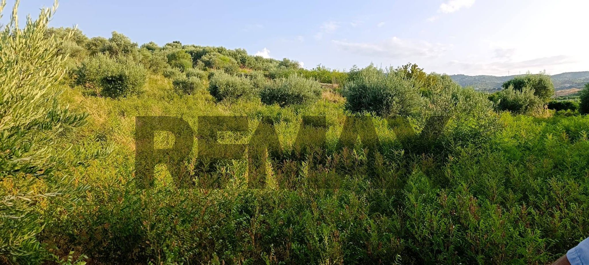 Immobile a Corigliano-Rossano