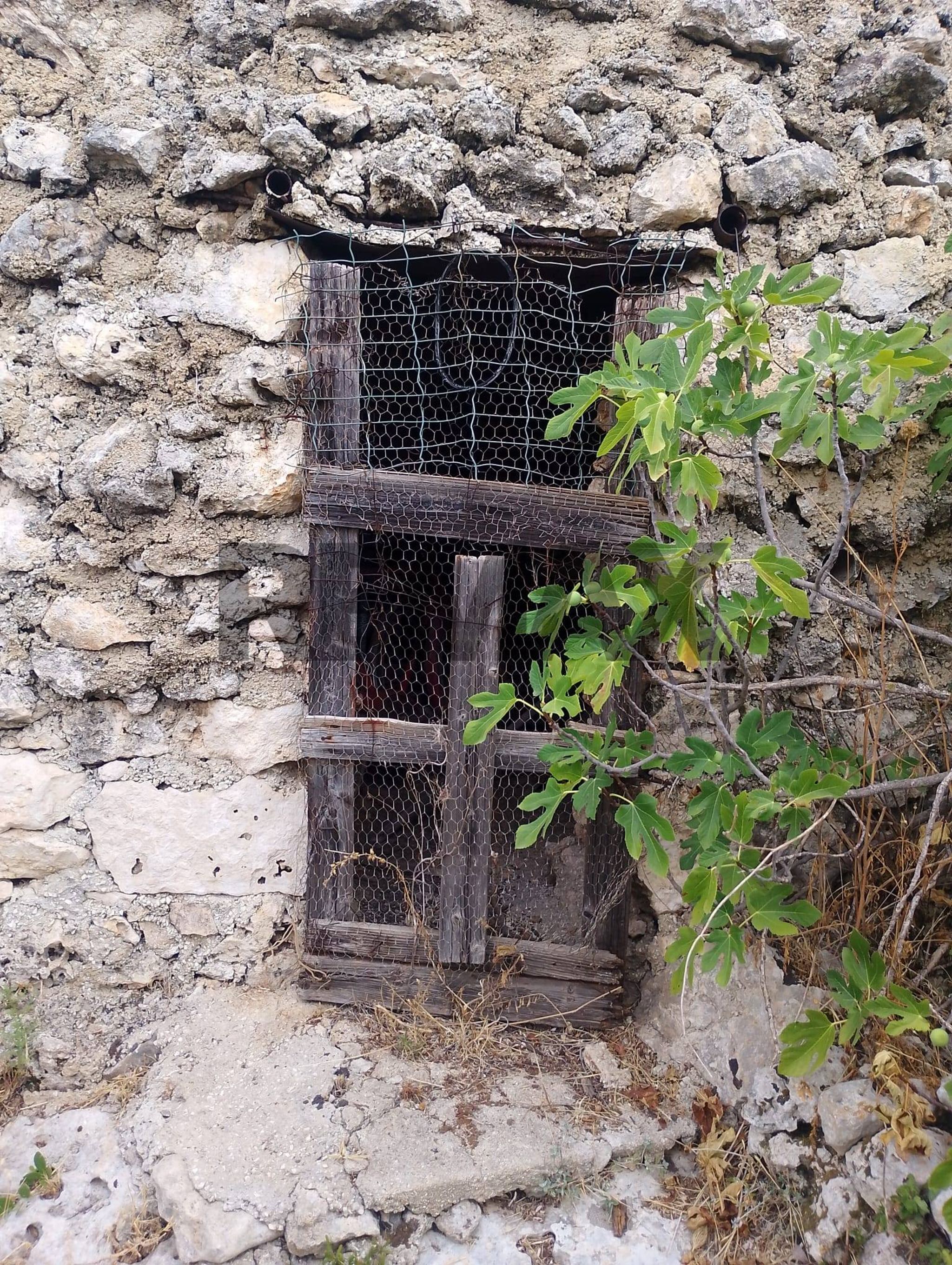 Dettagli