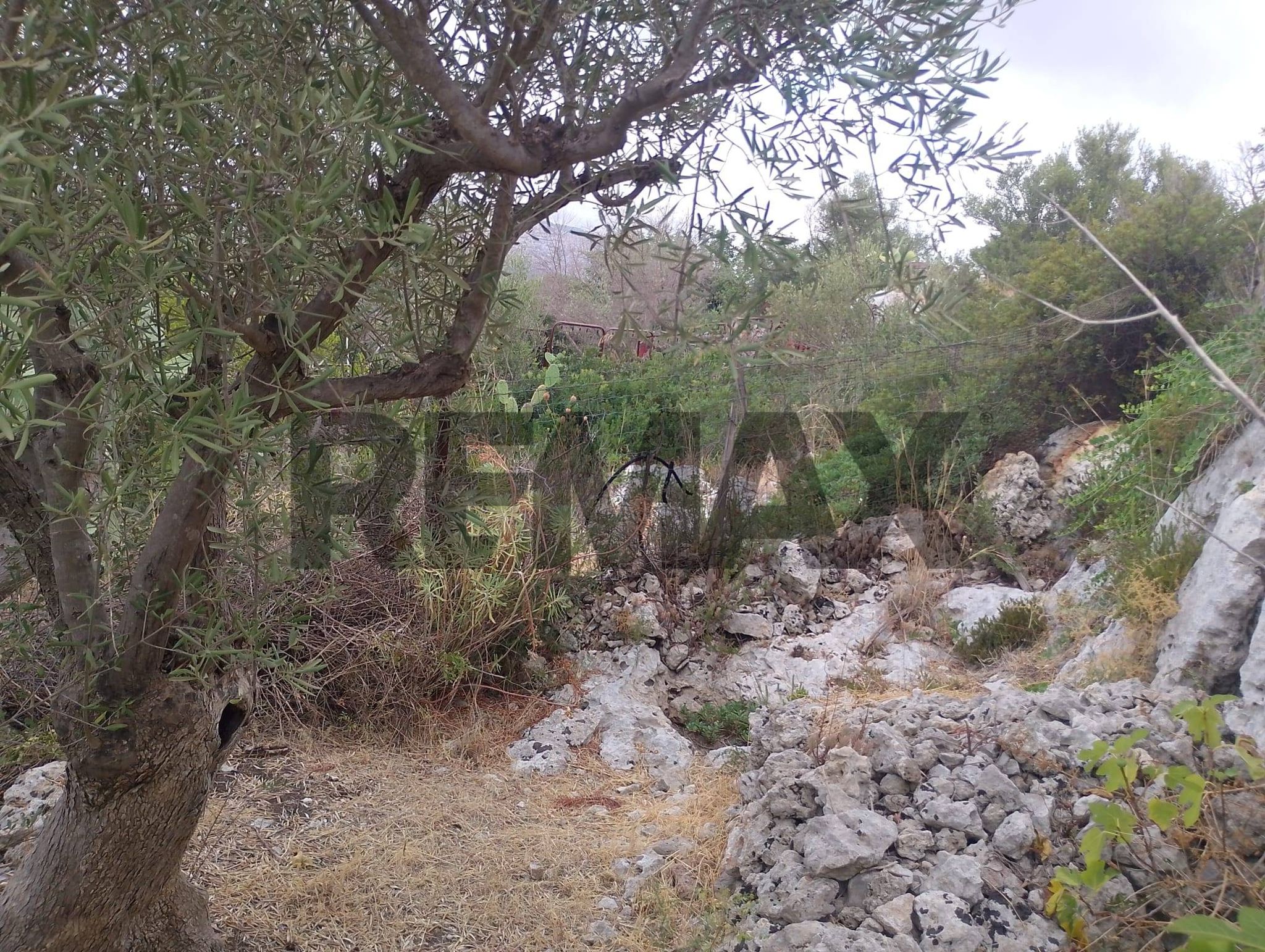 Immobile a Siracusa