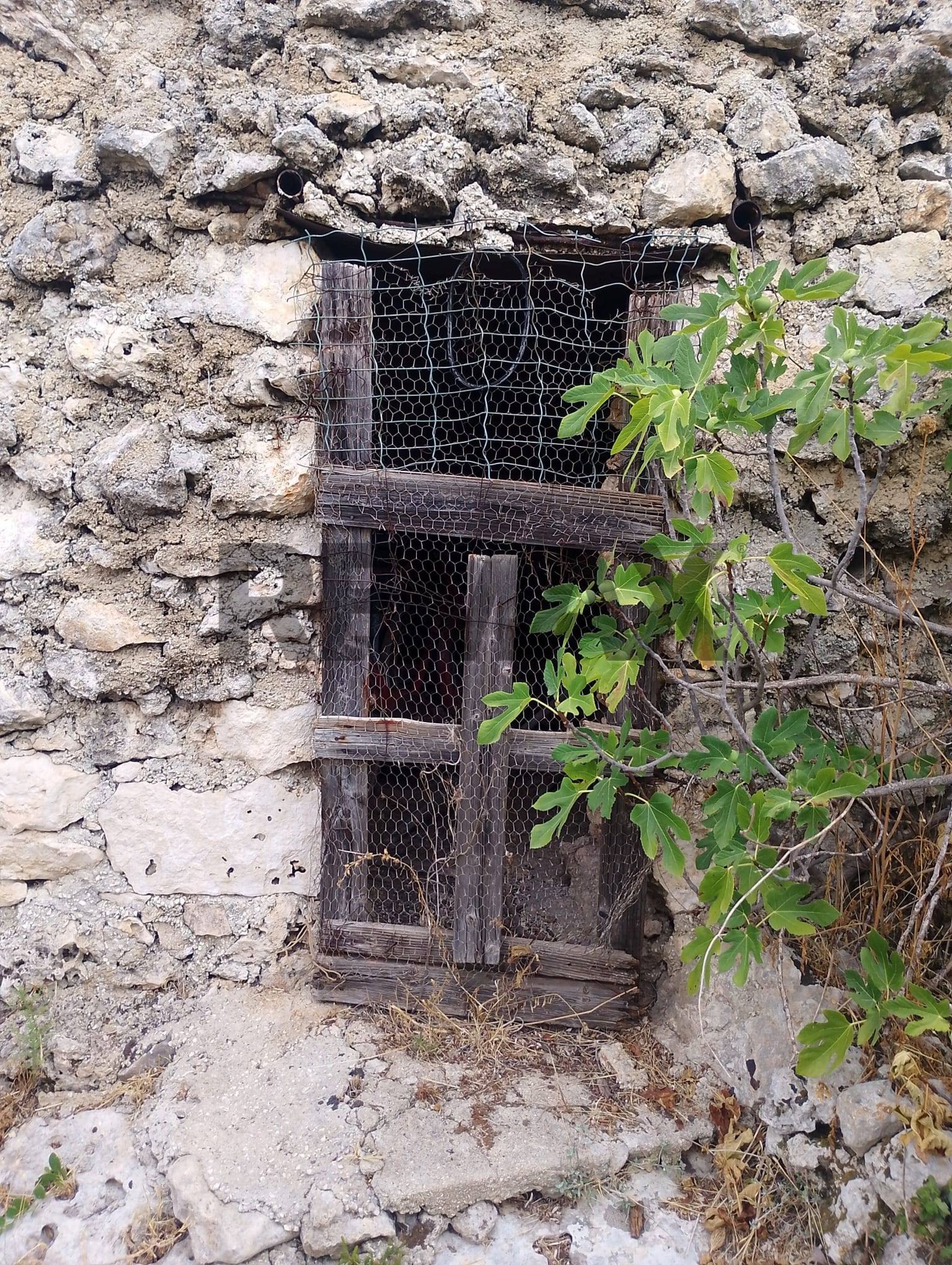 Dettagli