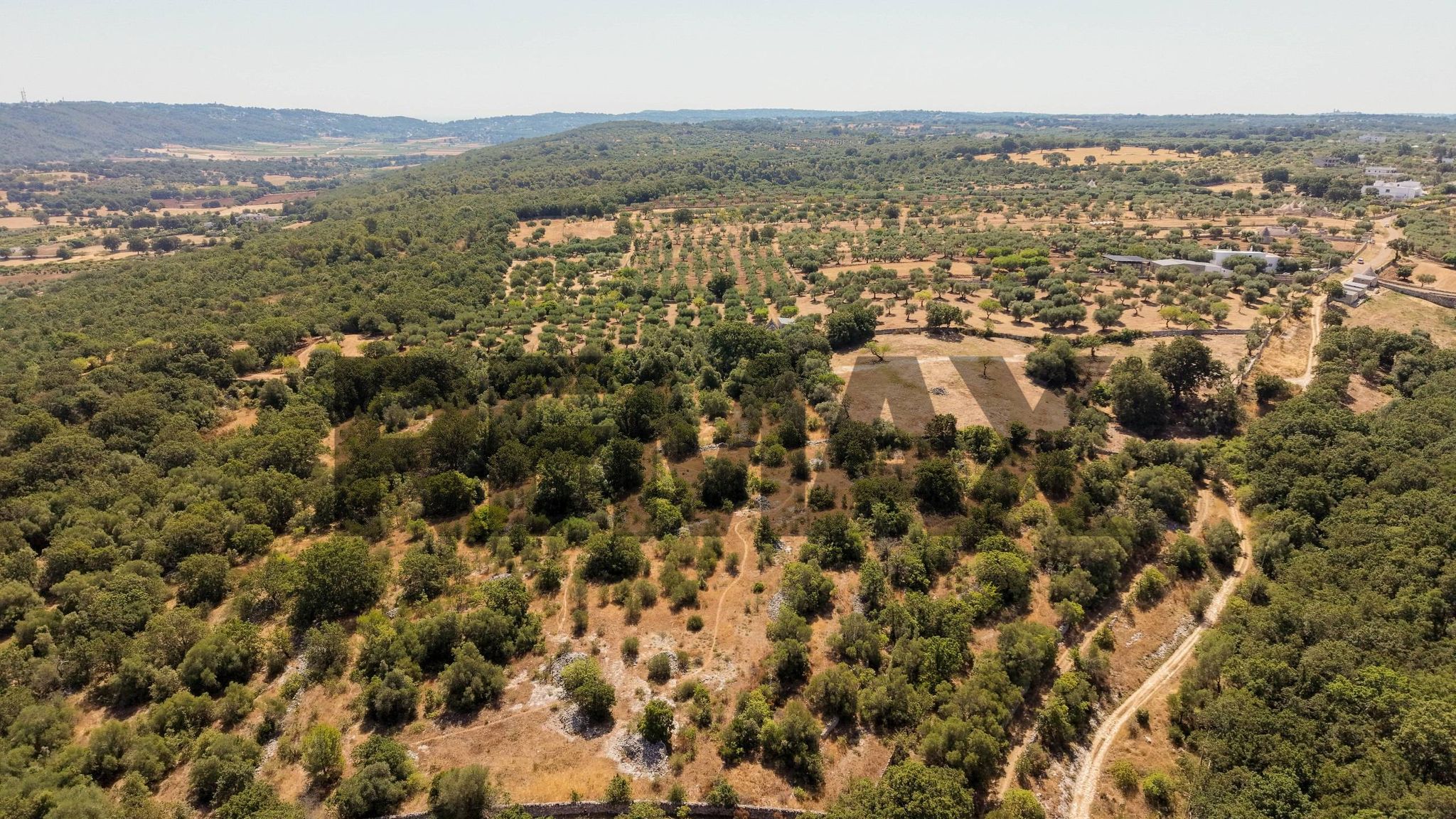Vista delle montagne