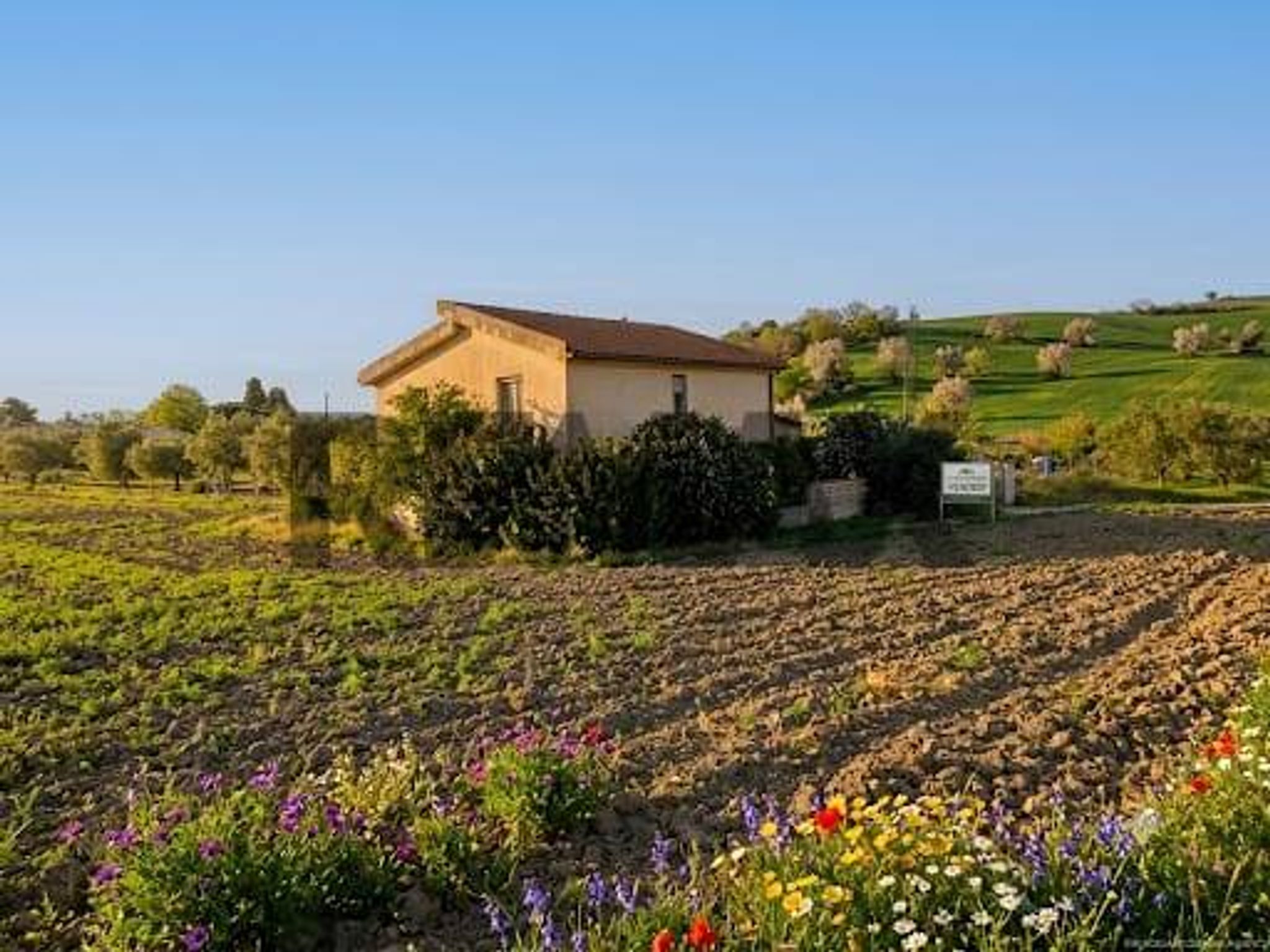 Giardino