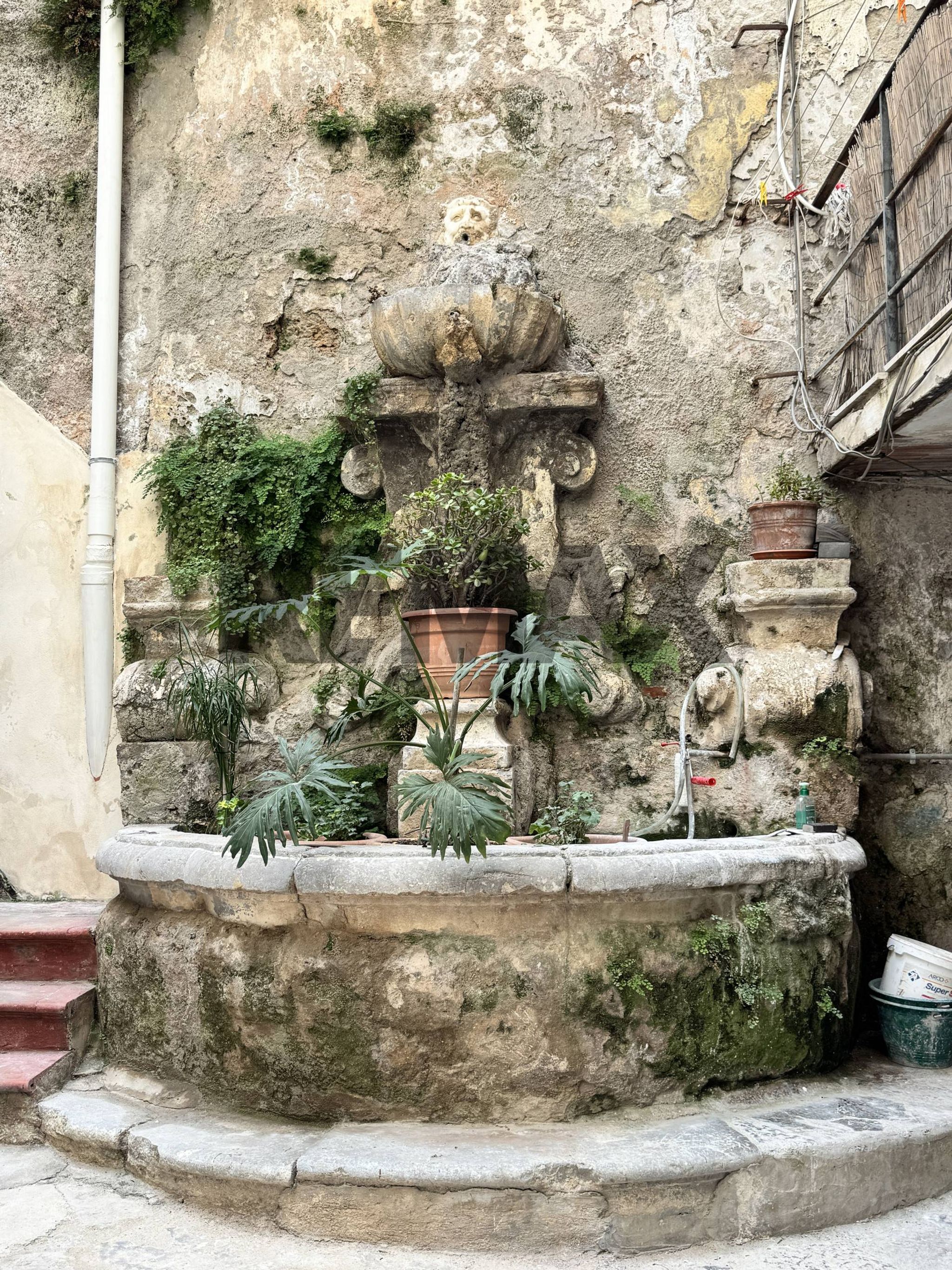 Giardino