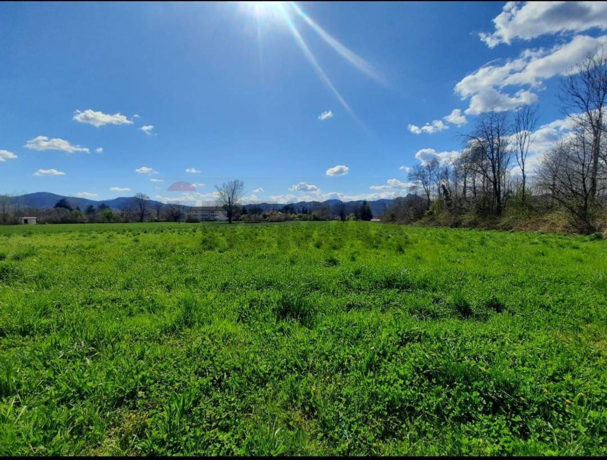 terreno