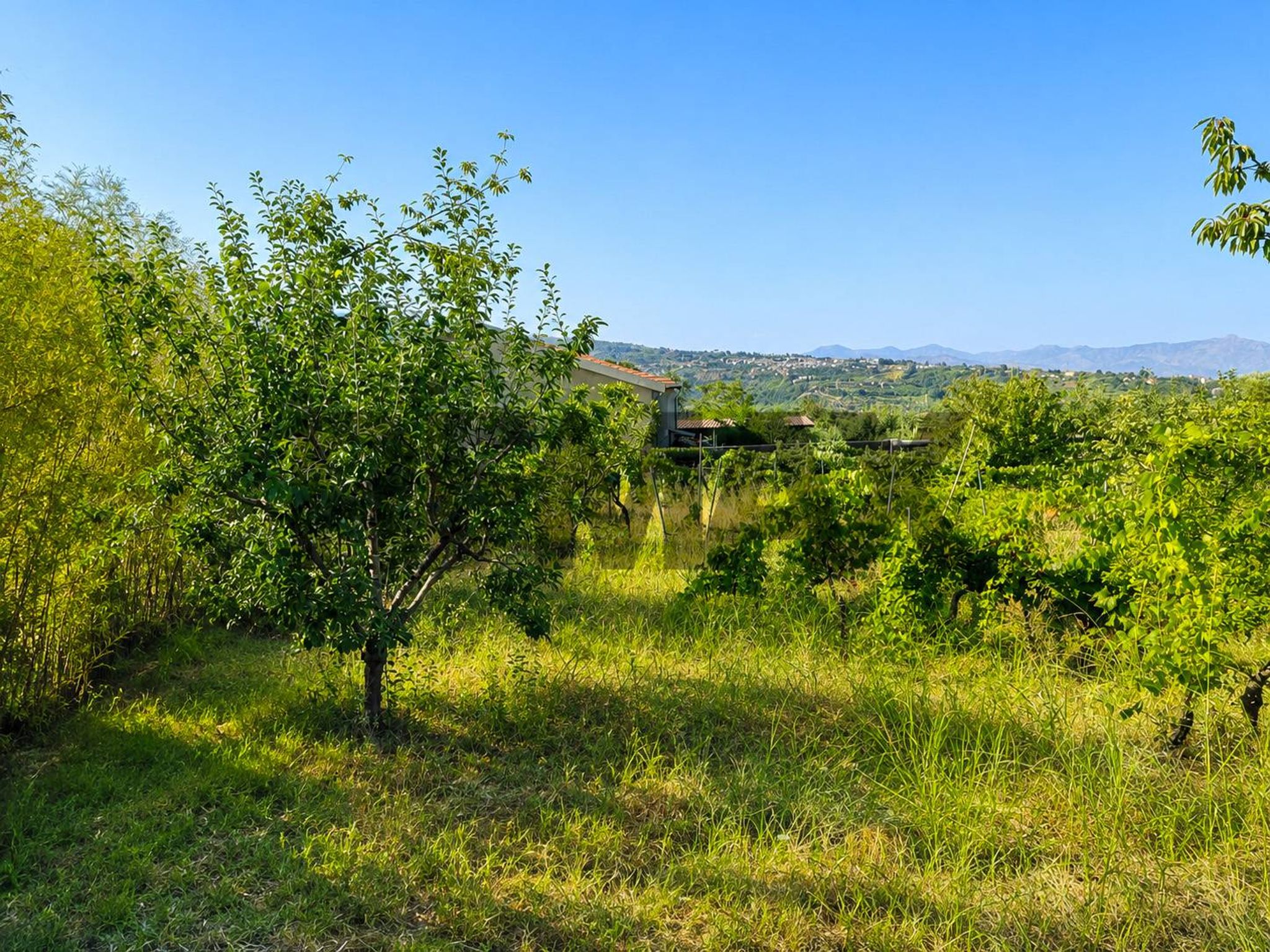 Vista delle montagne