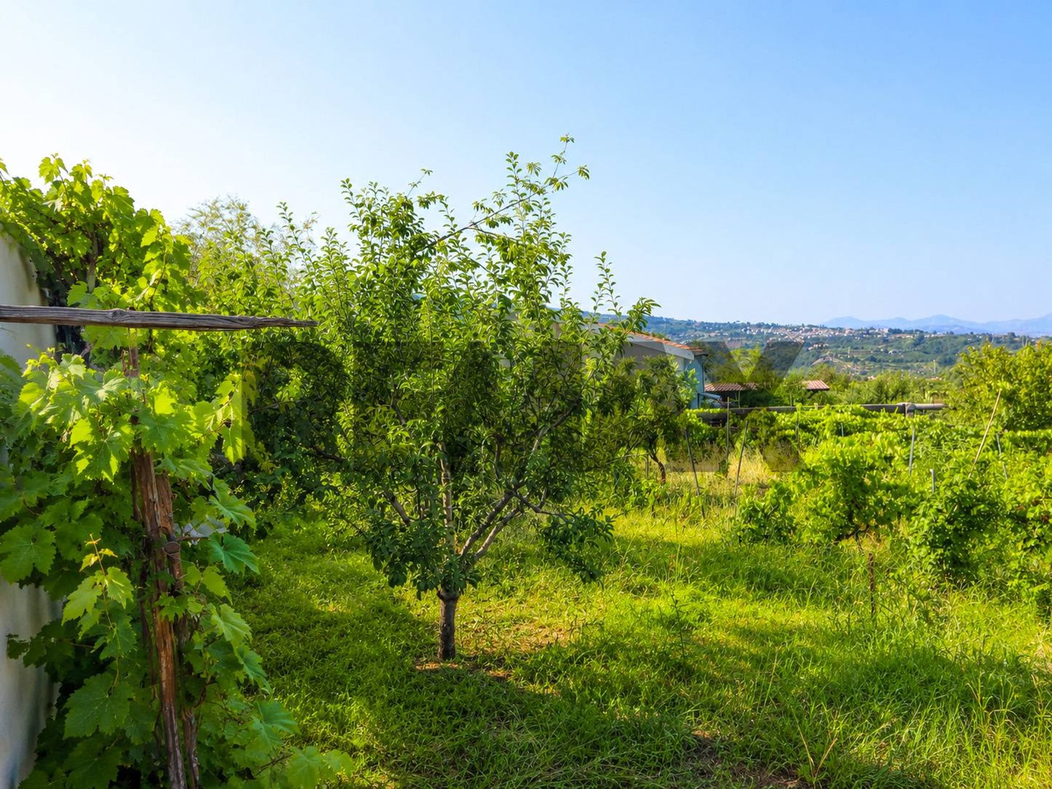 Giardino