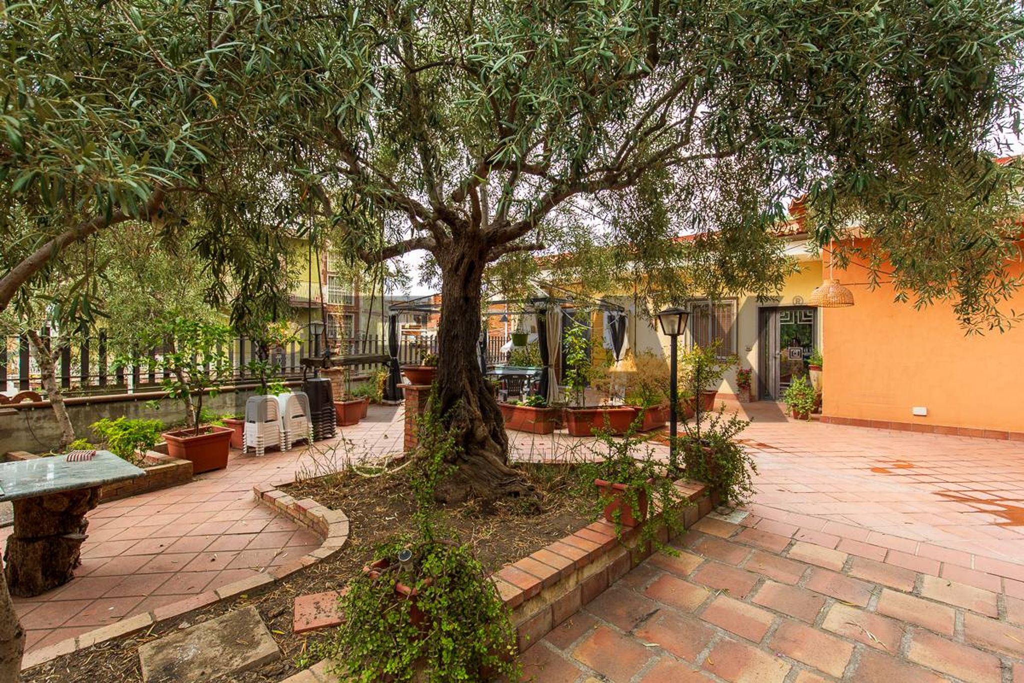 Giardino