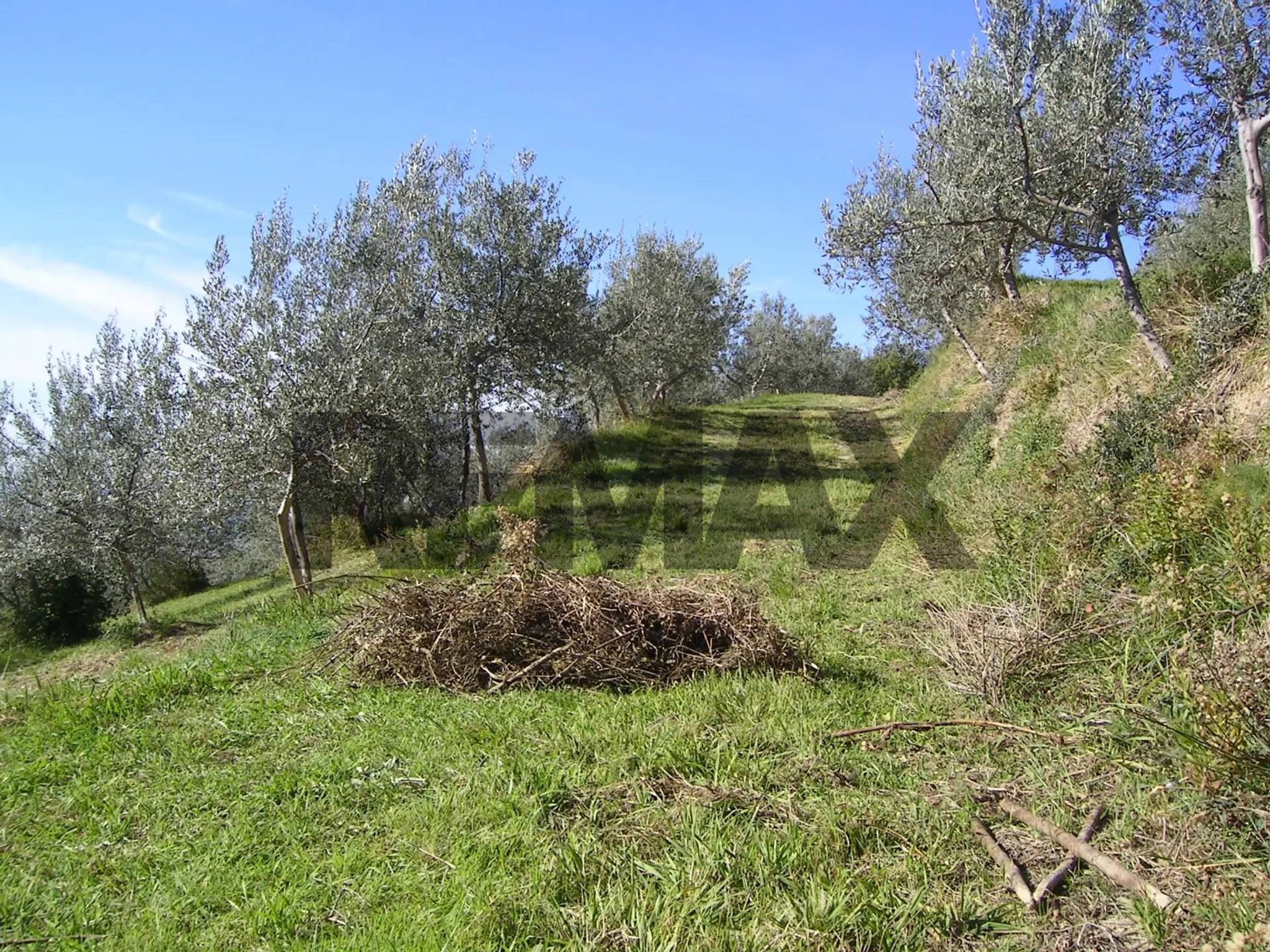 Immobile a Assisi