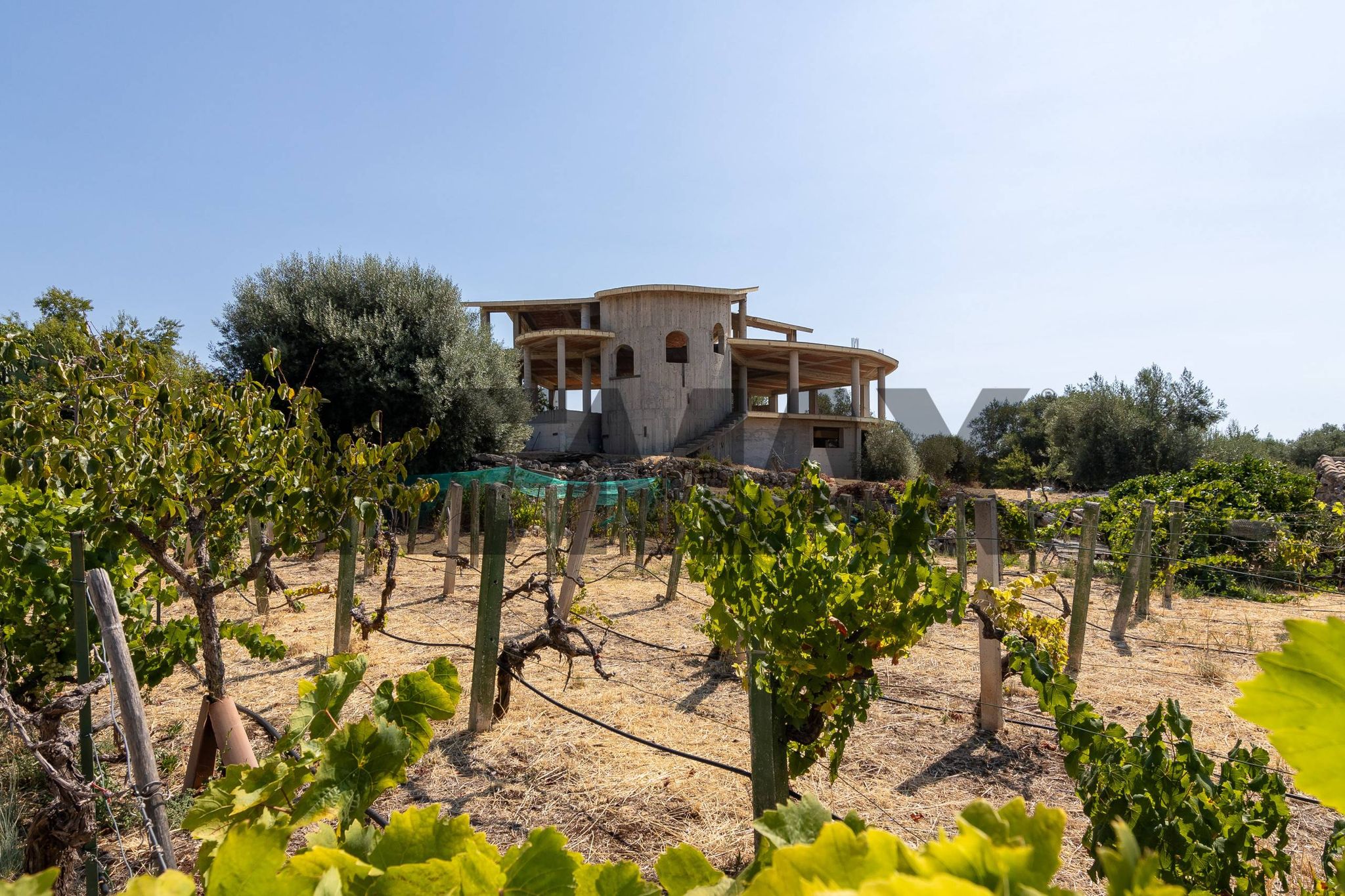 Giardino