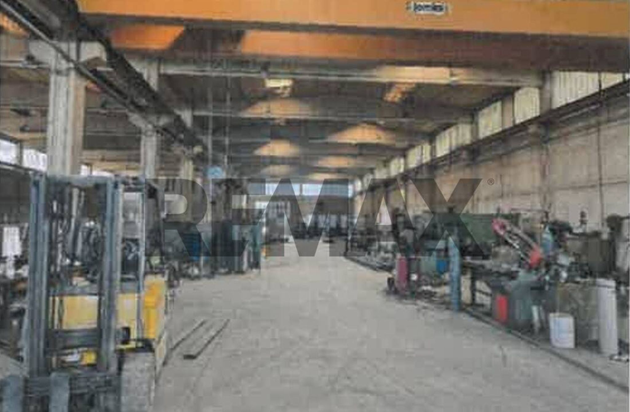 Palestra