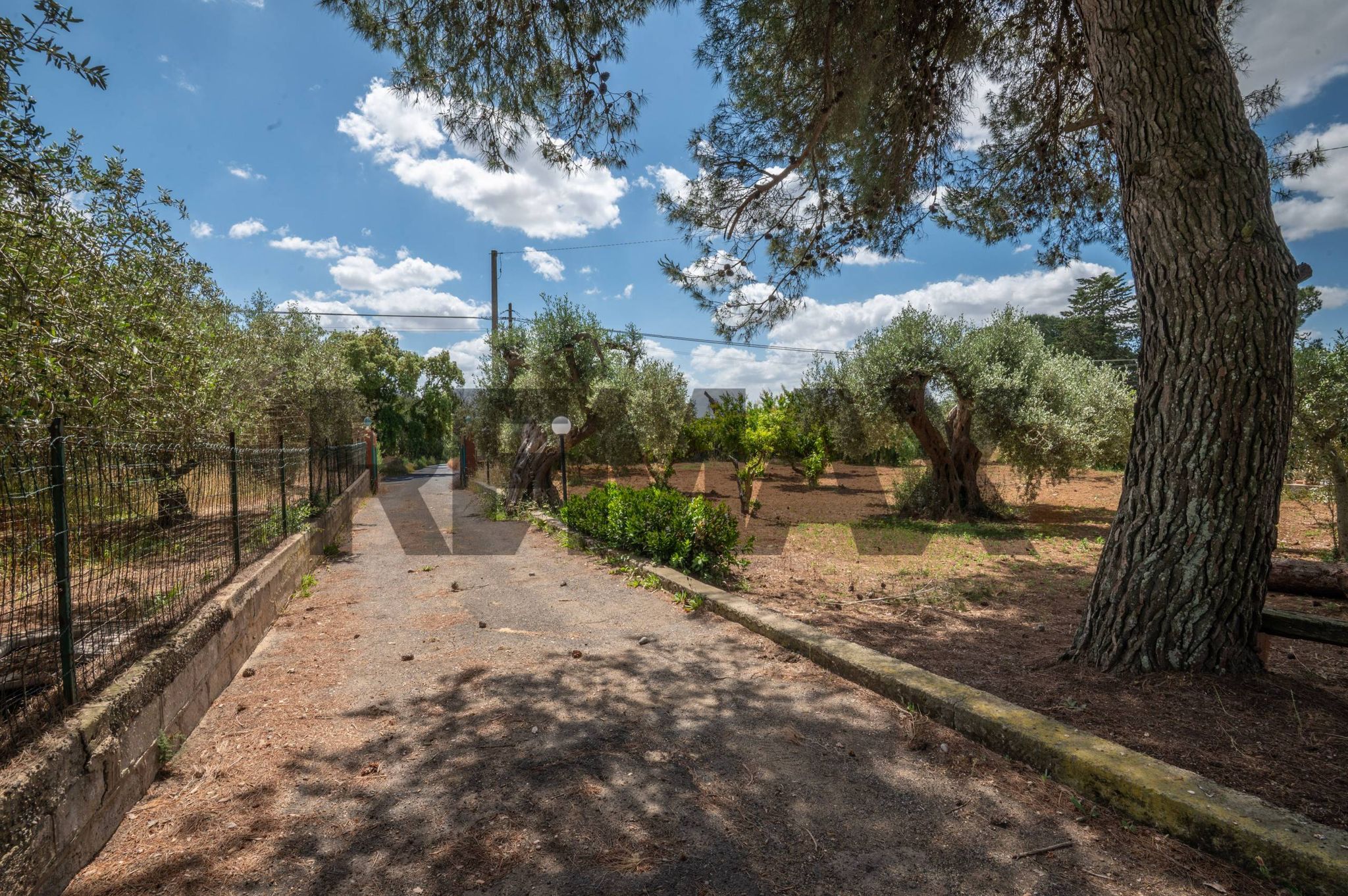 Giardino