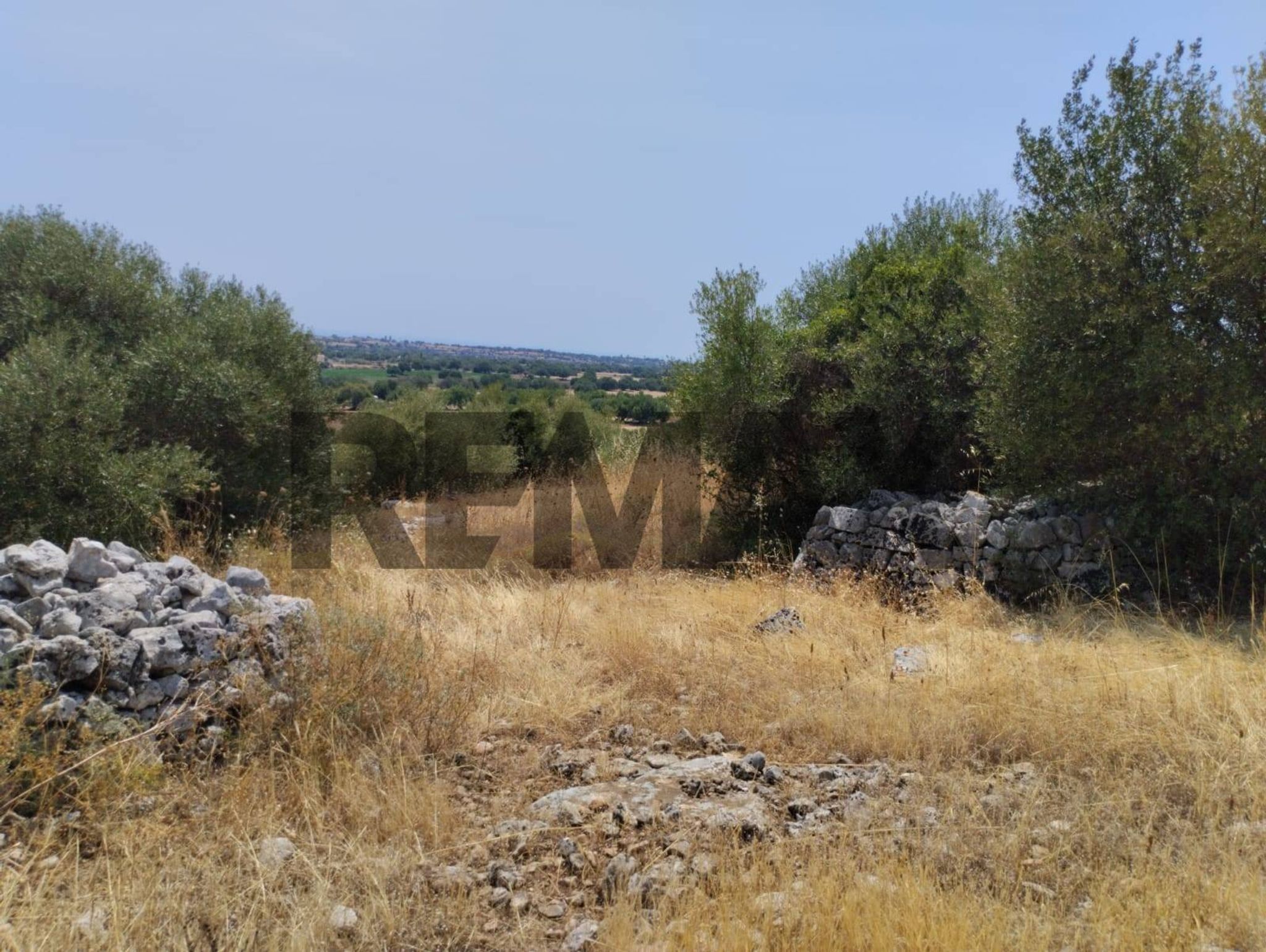 Vista delle montagne