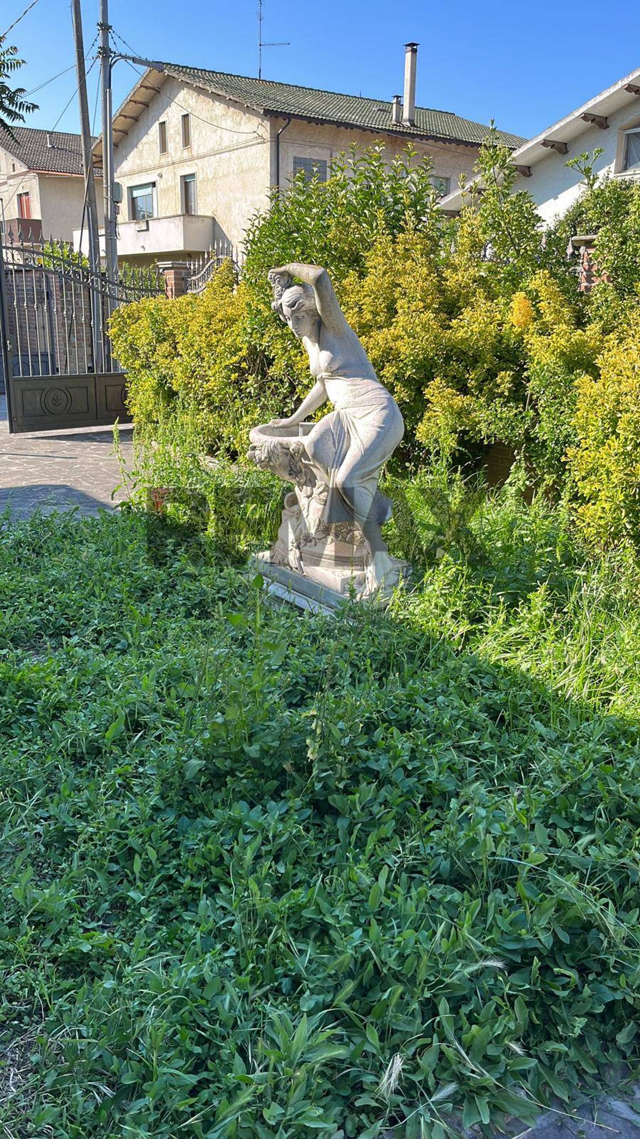 Giardino