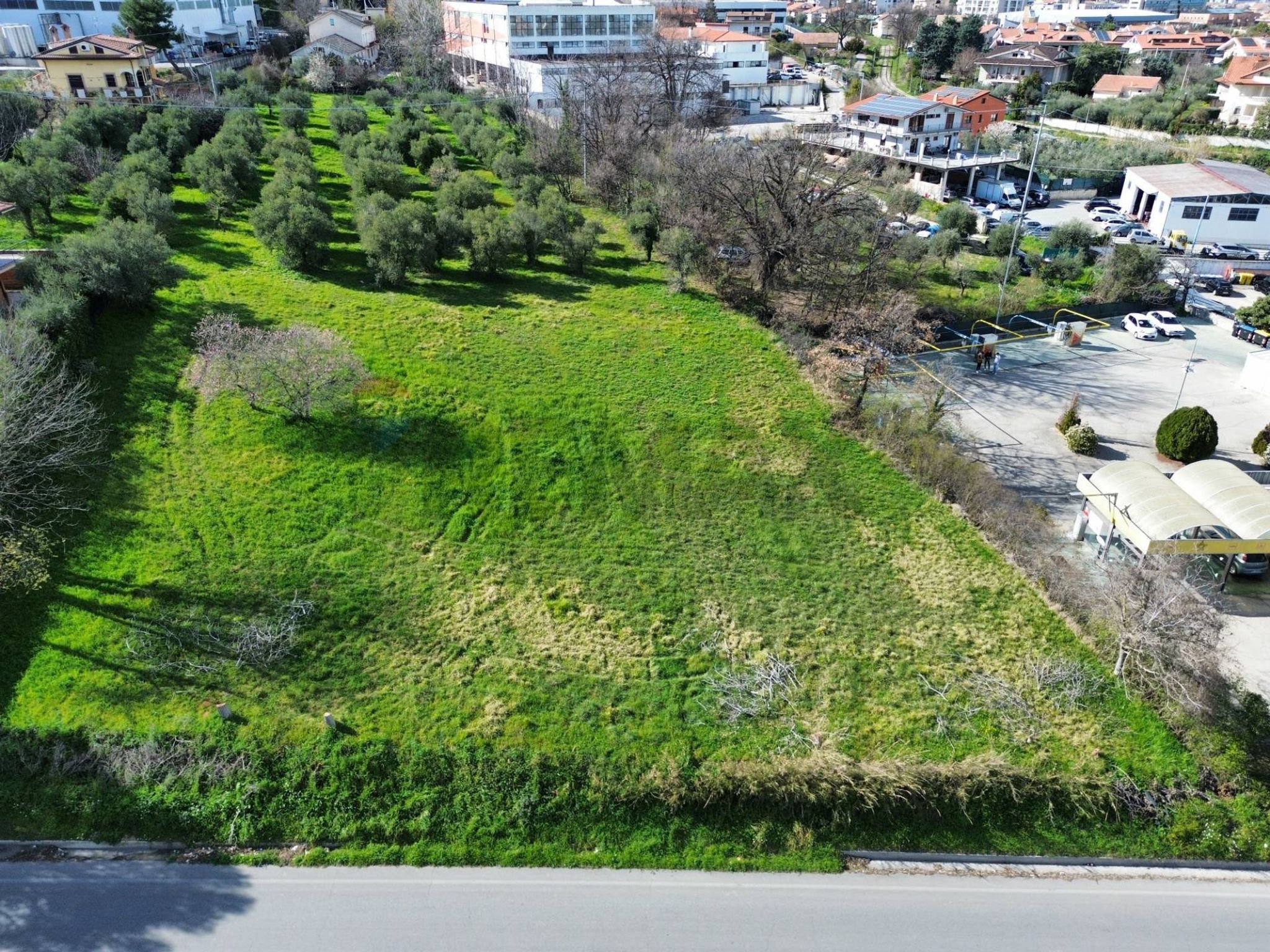 Giardino