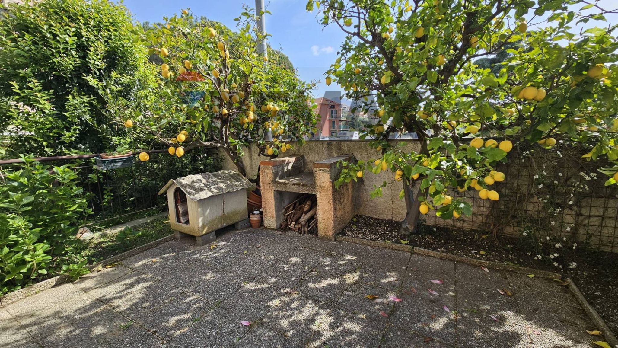 Giardino
