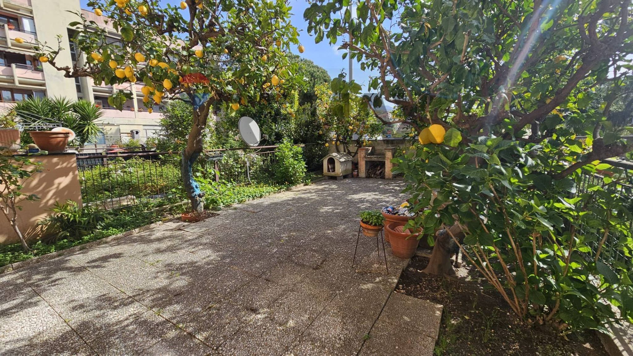Giardino