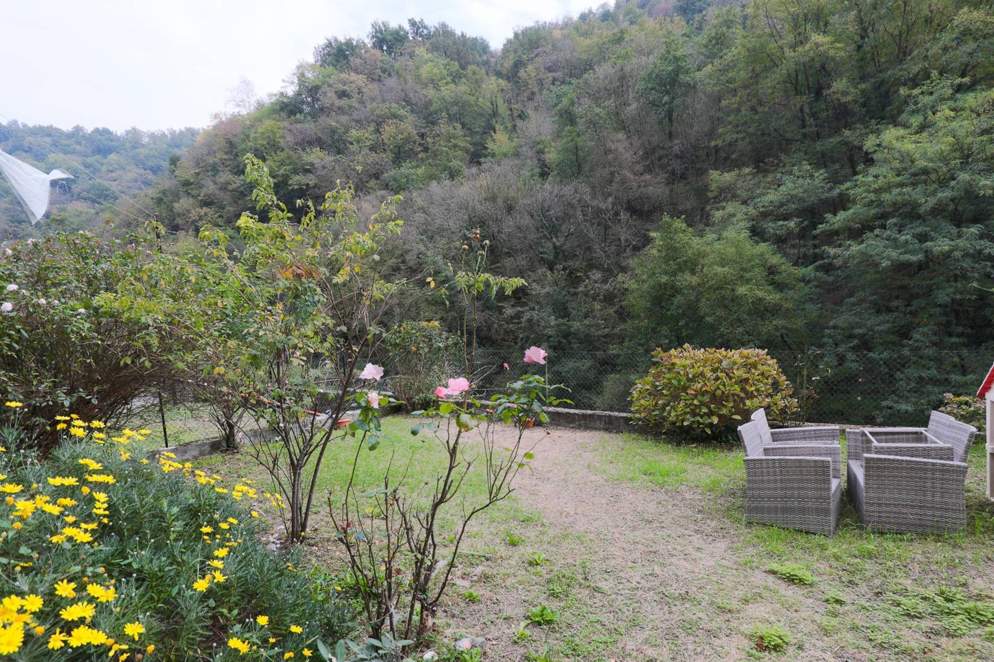 Giardino