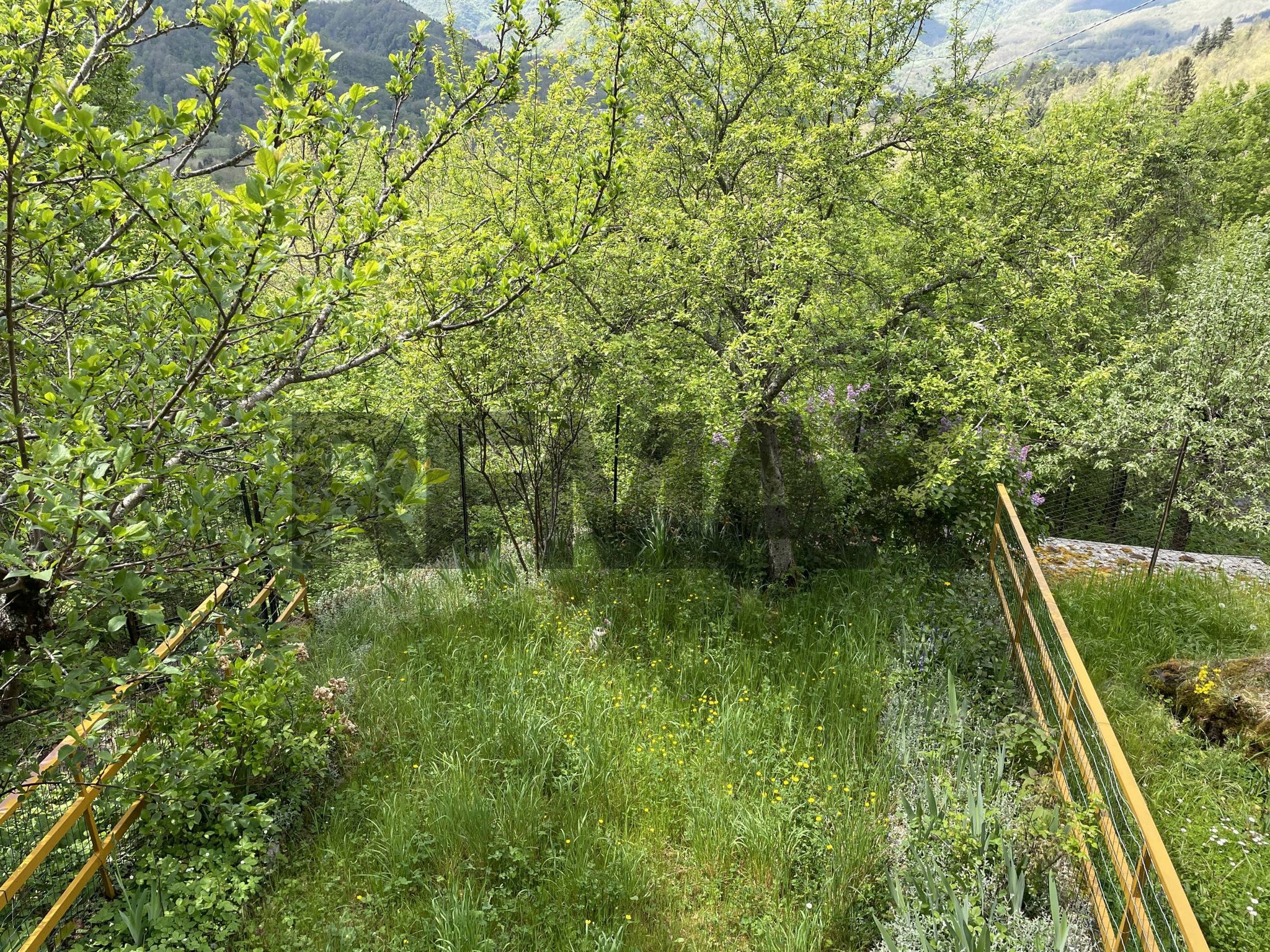 Giardino