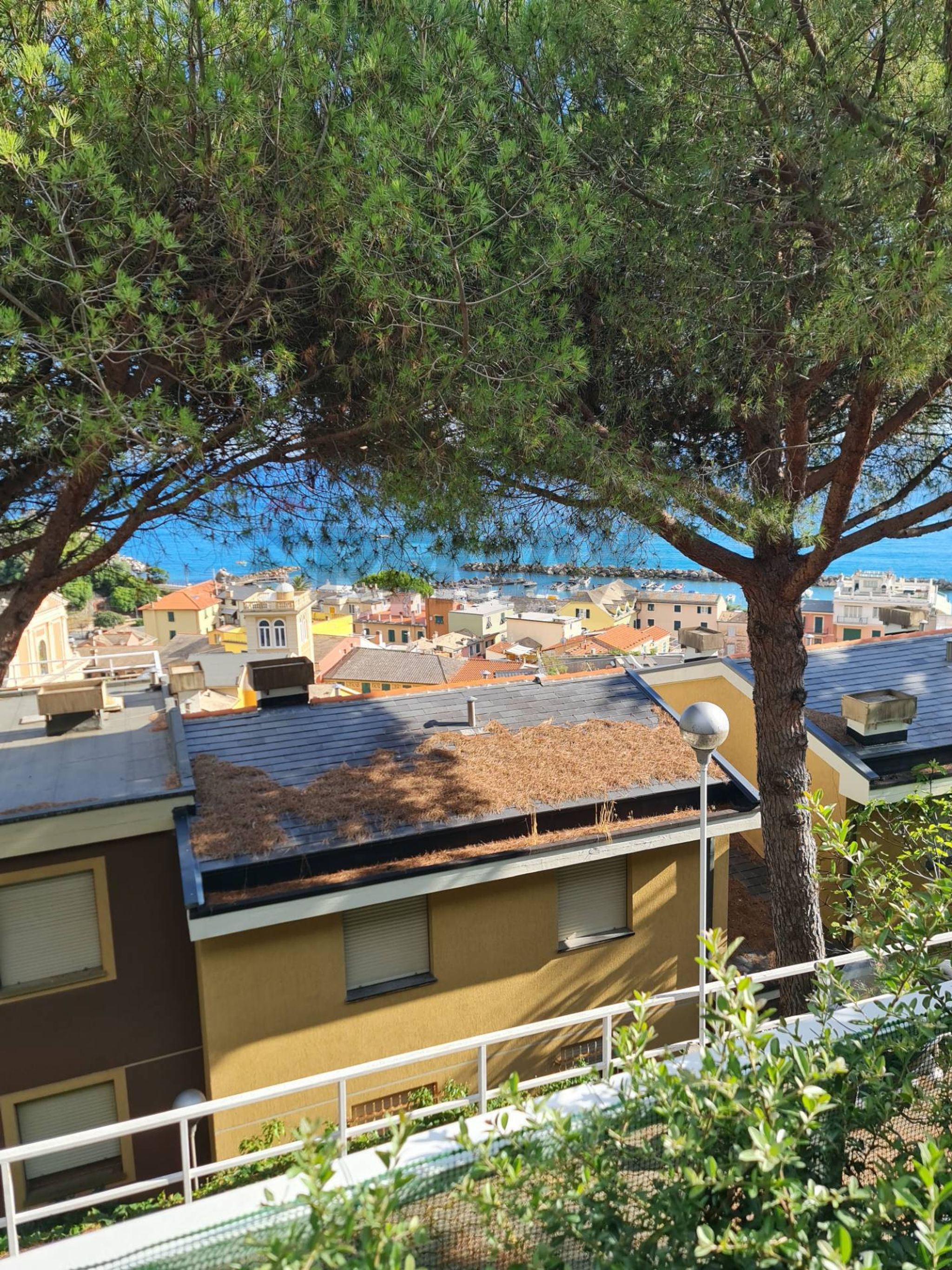 Immobile a Moneglia