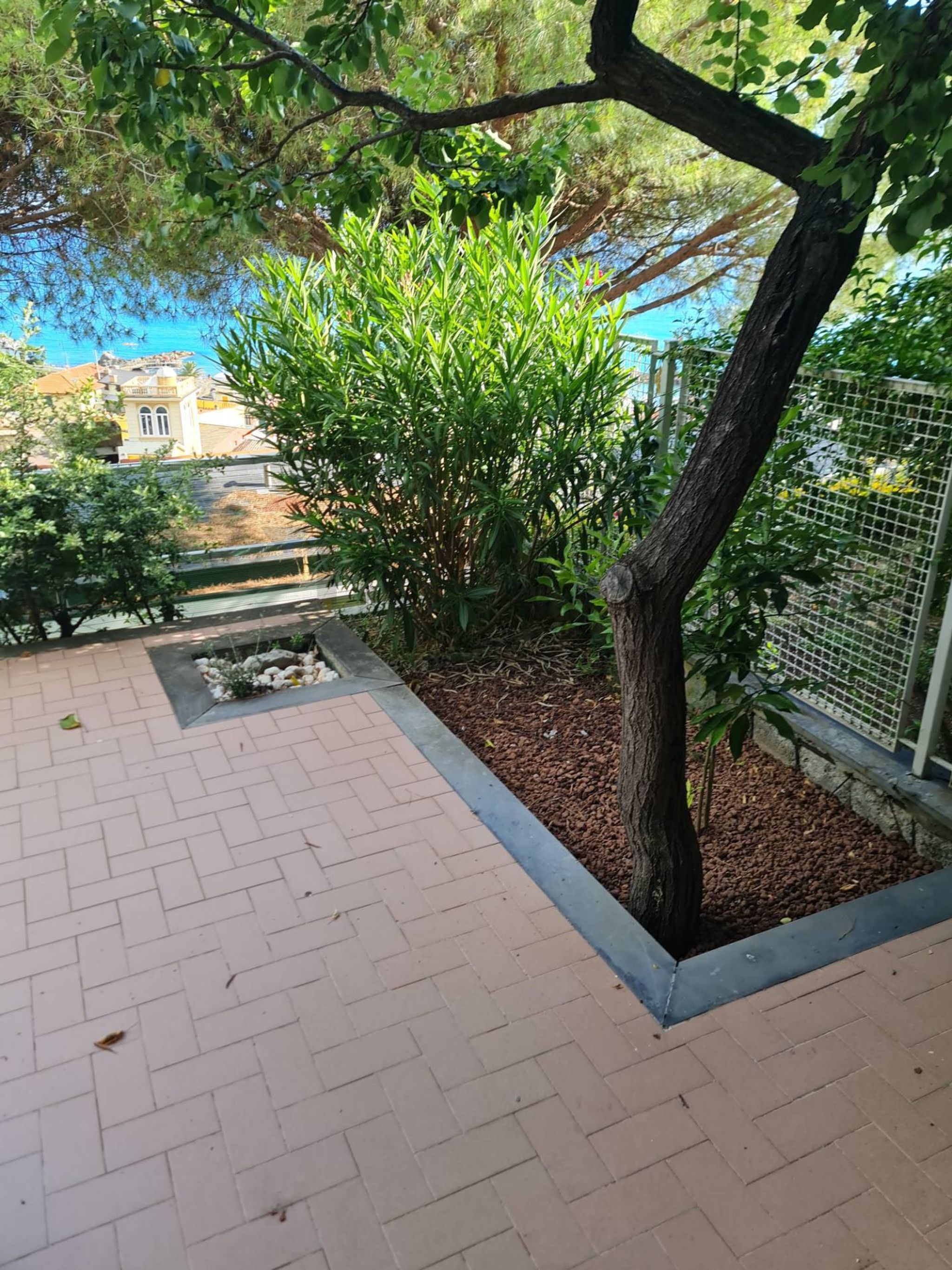 Terrazza