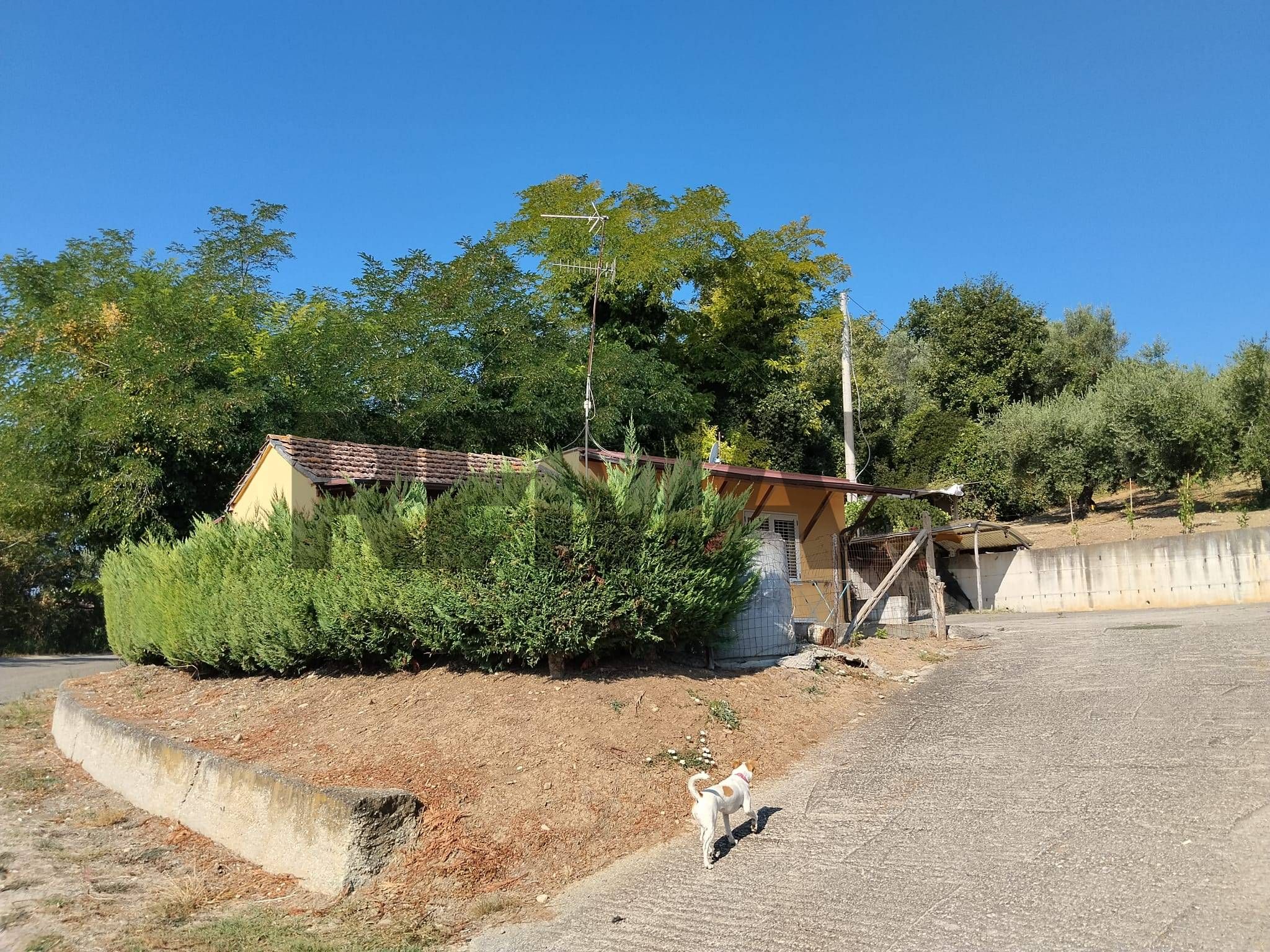 Giardino