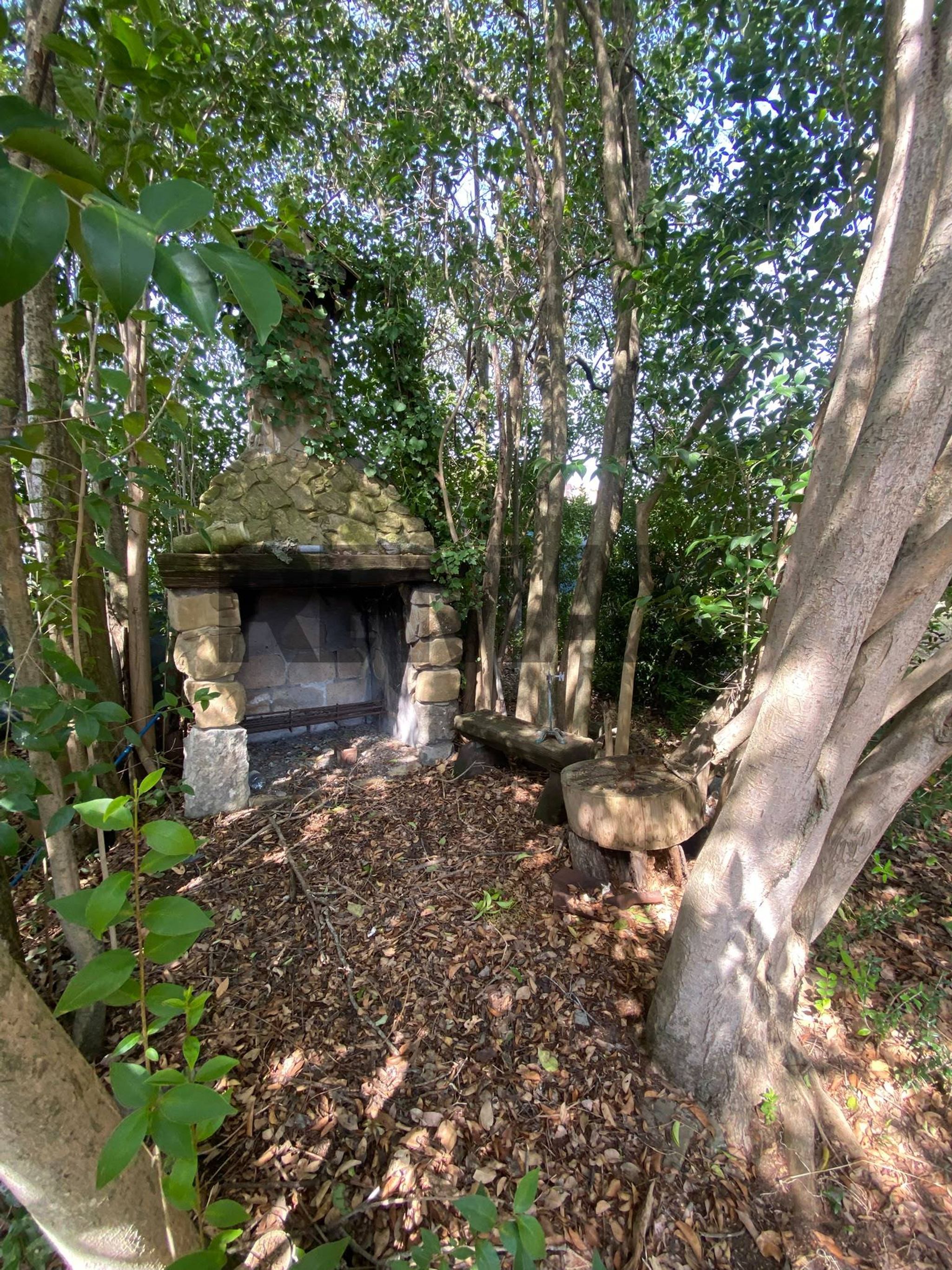 Giardino