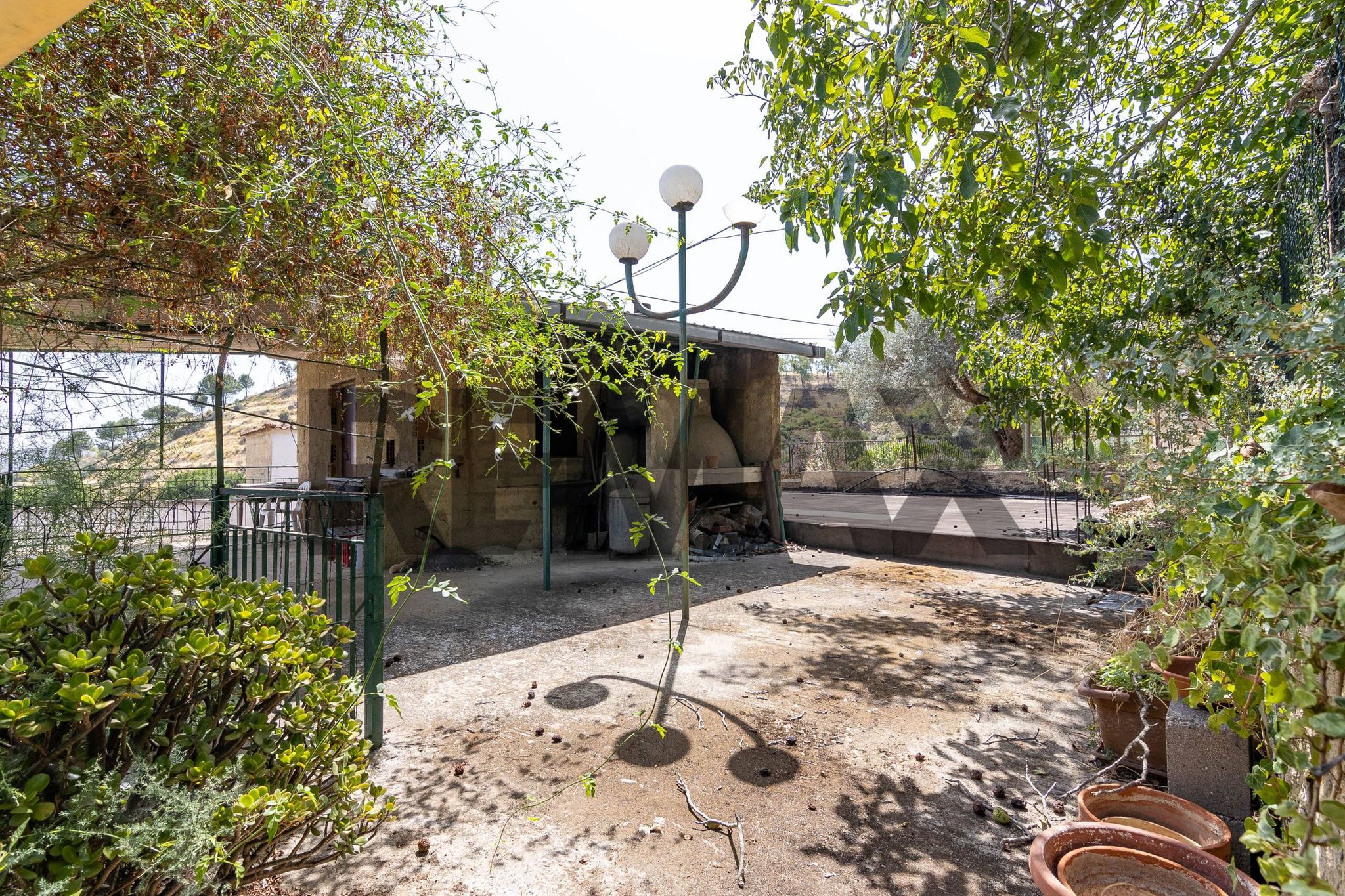 Giardino