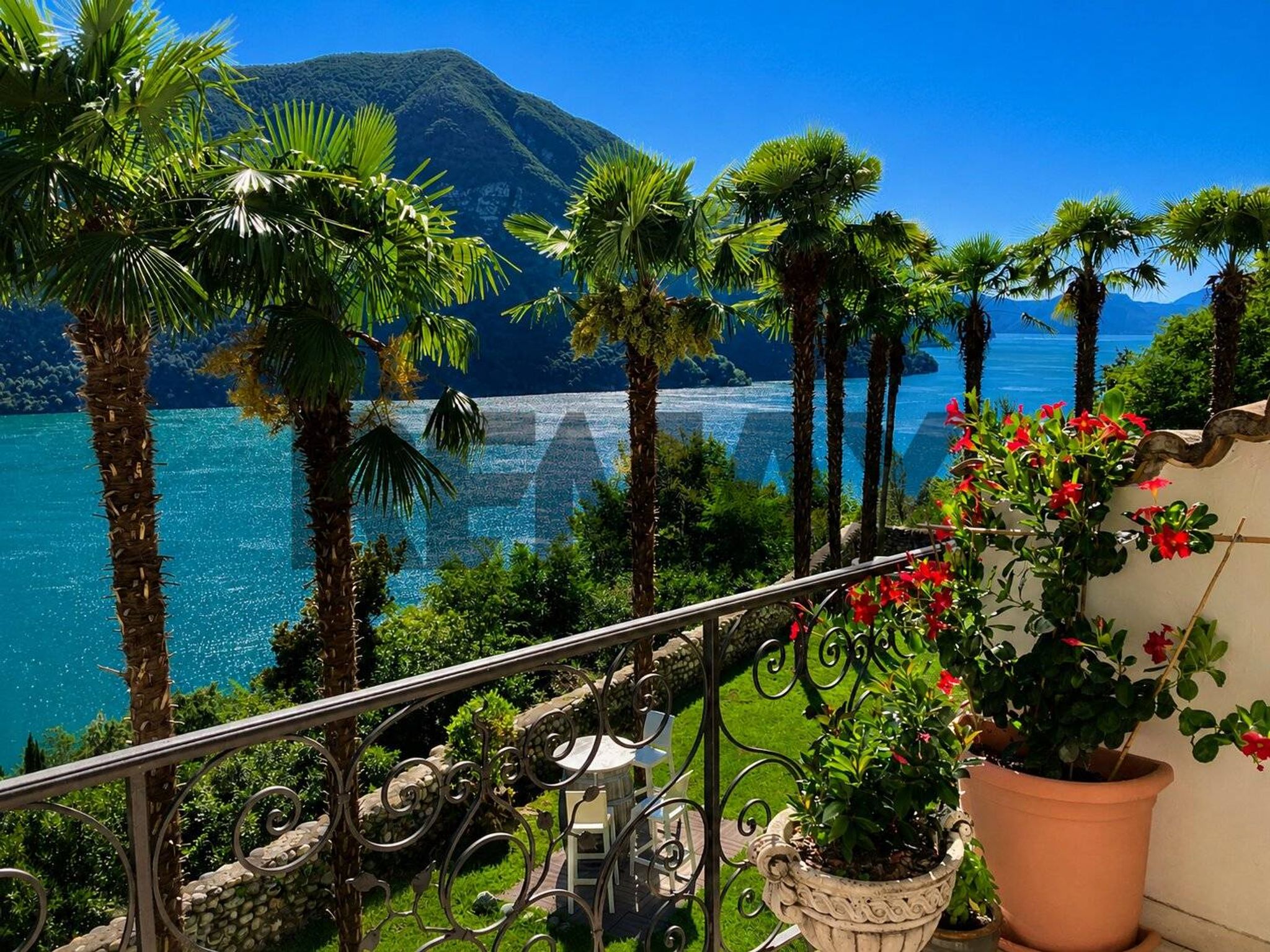 Vista dell'acqua