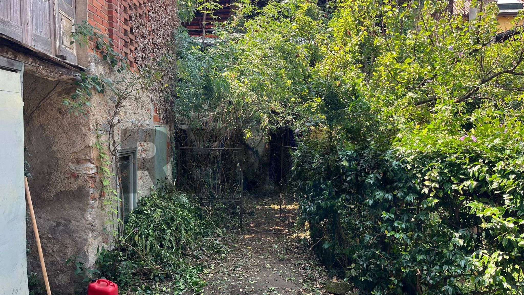 Giardino