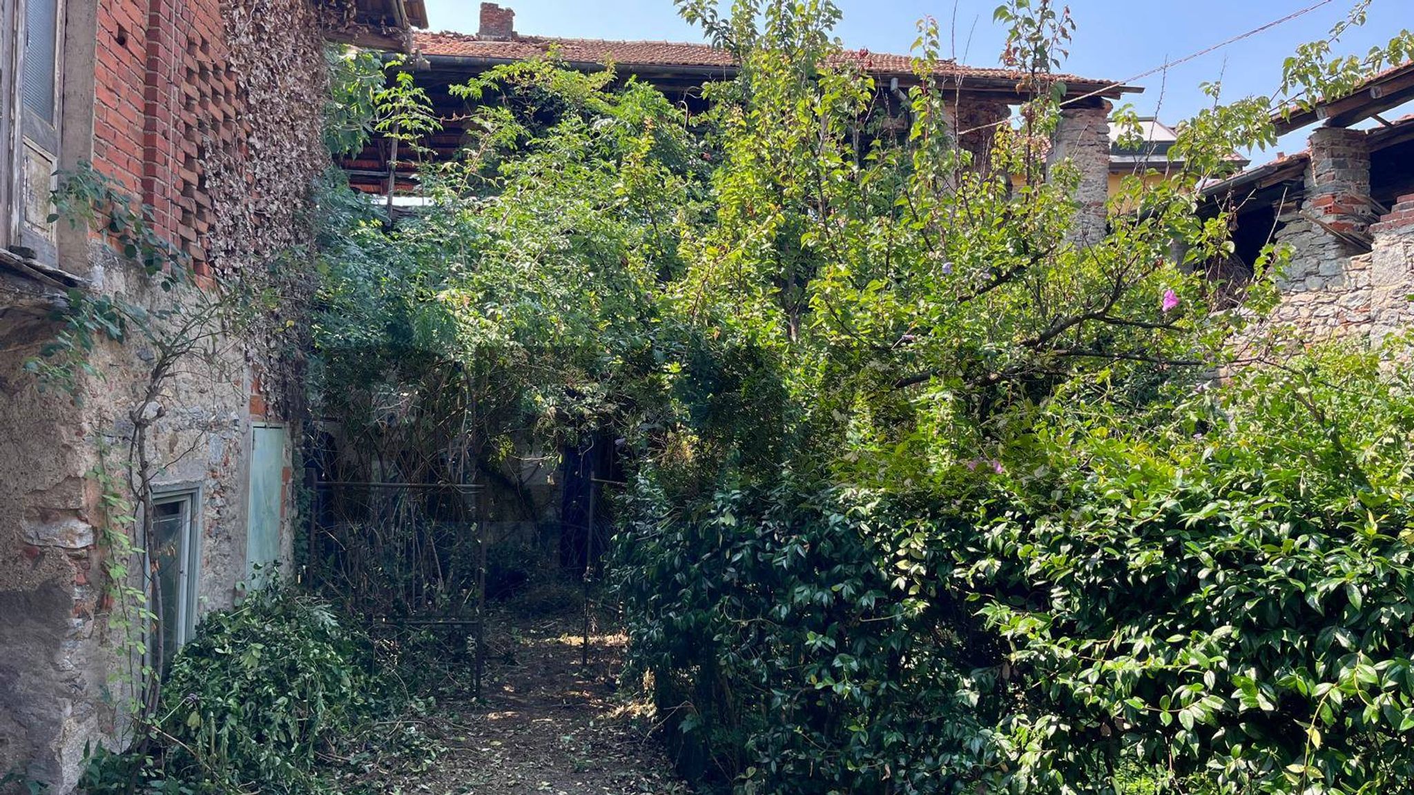 Giardino