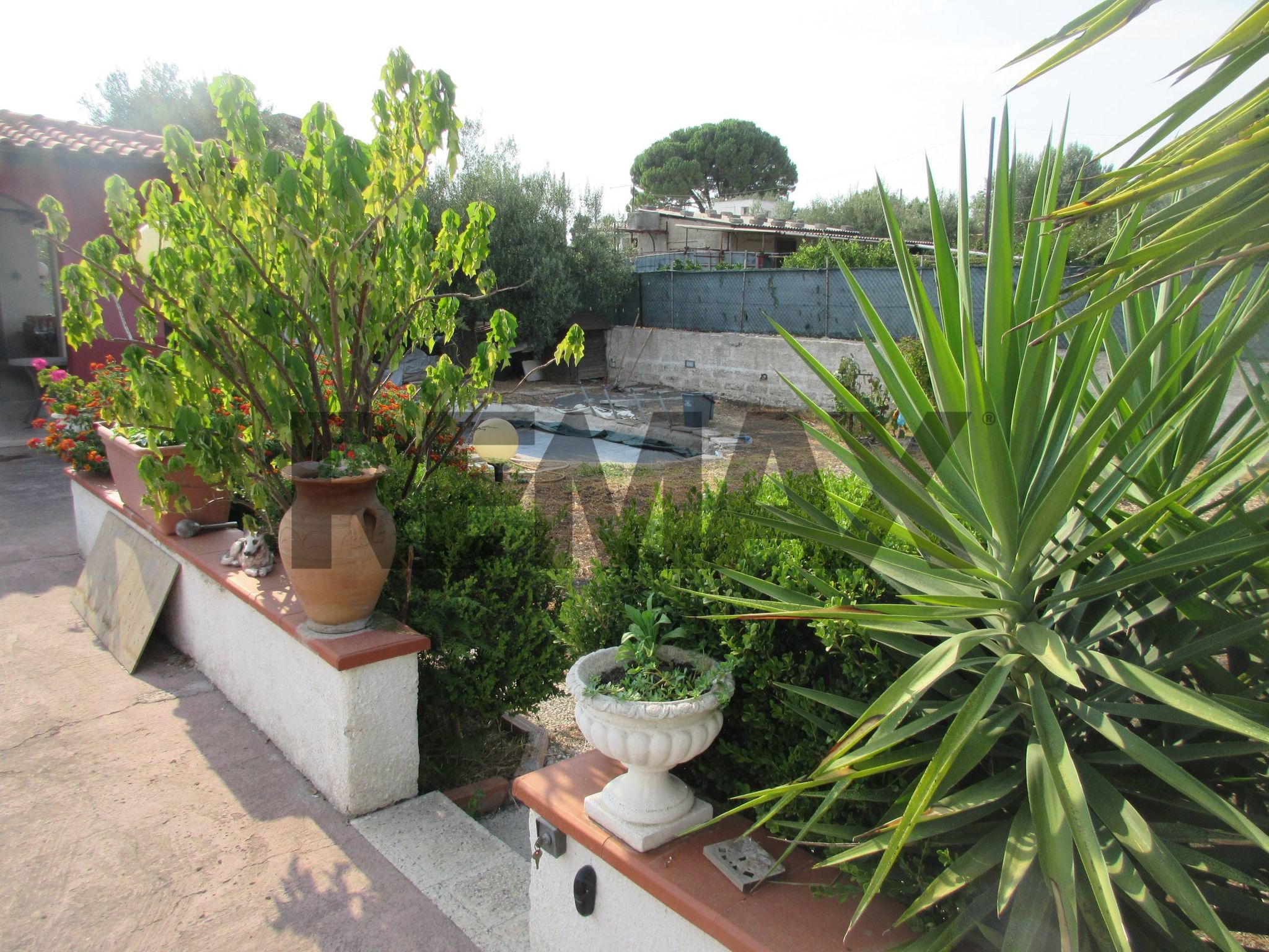 Giardino