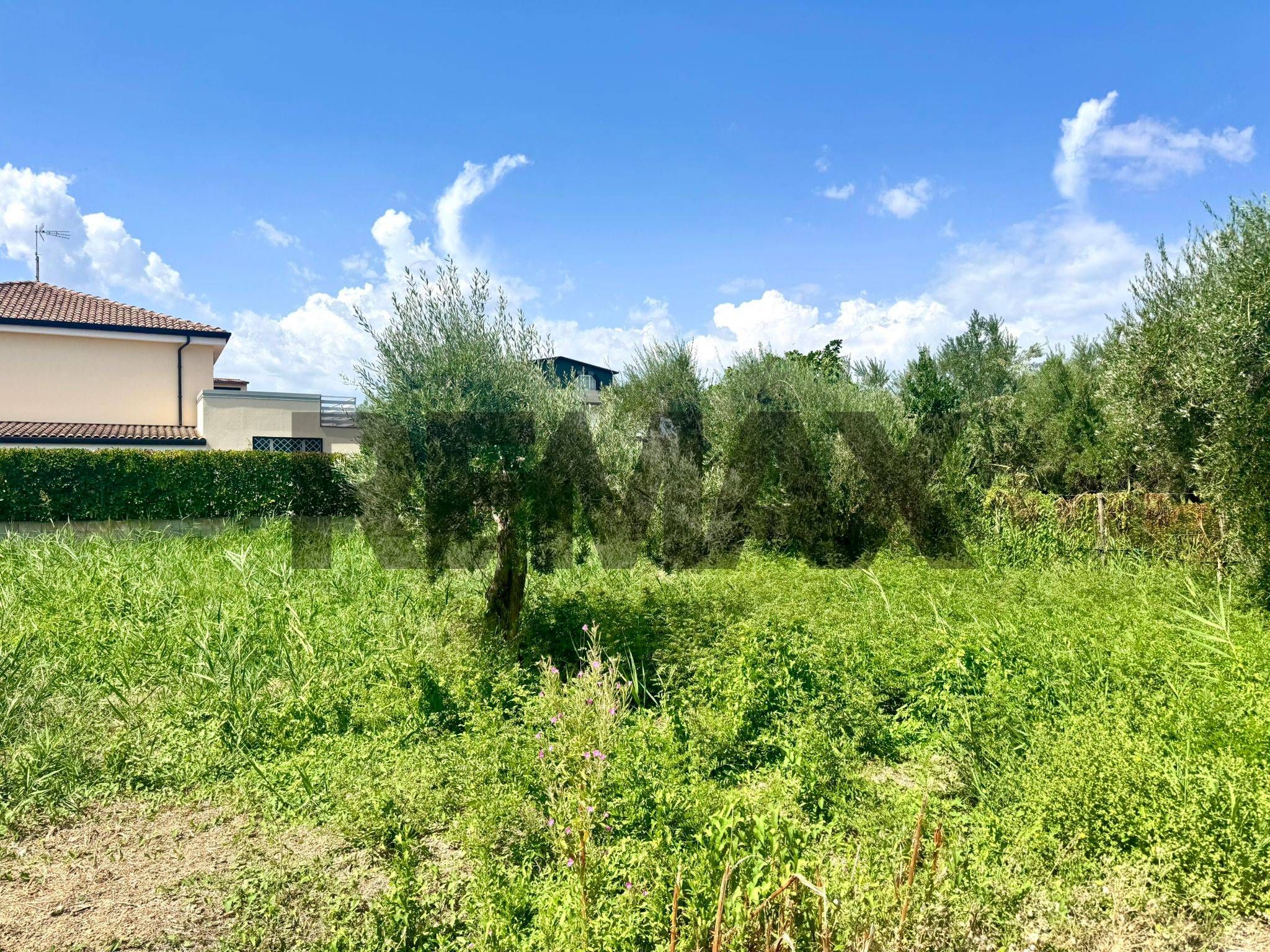 Giardino