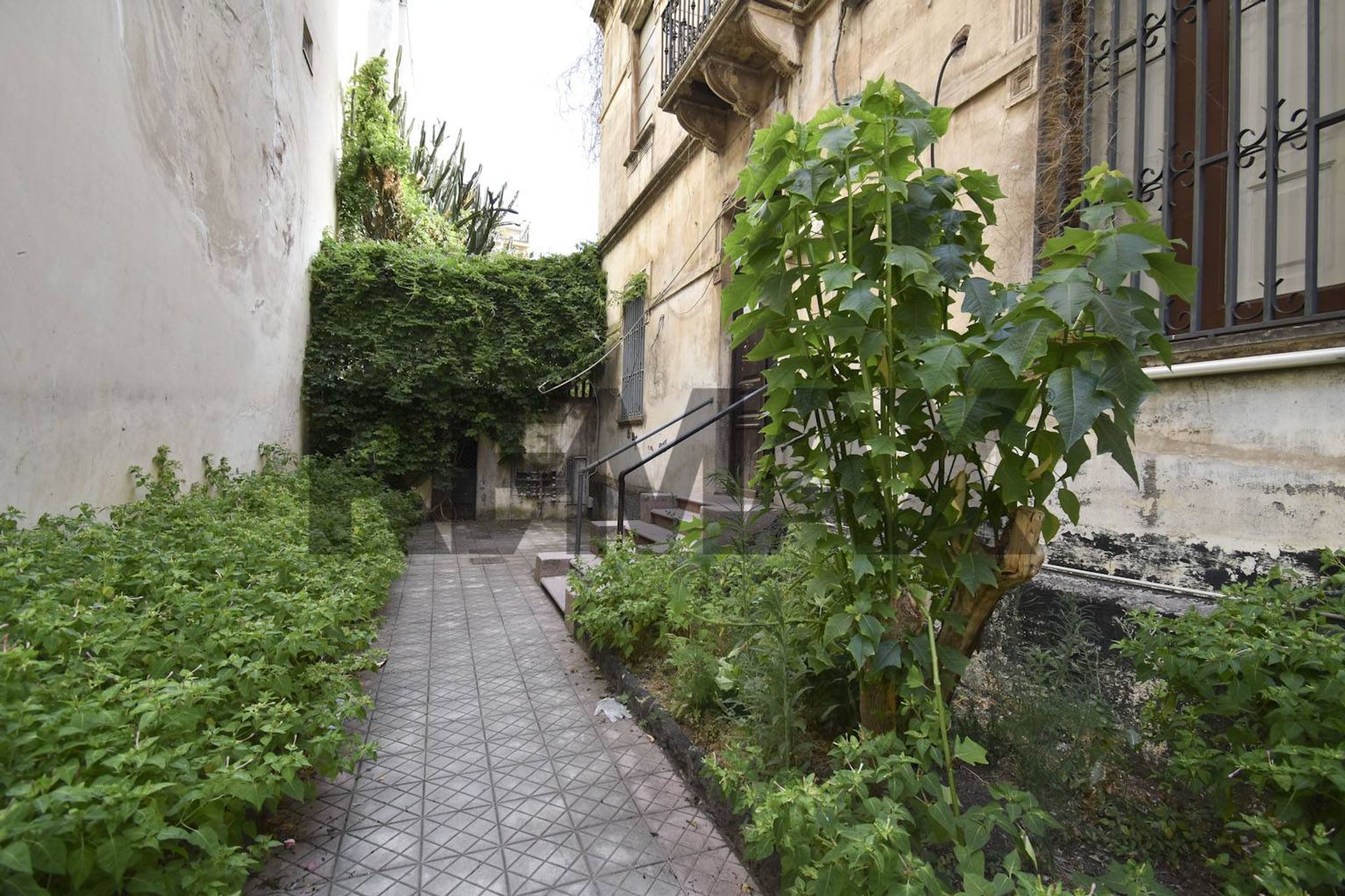 Giardino