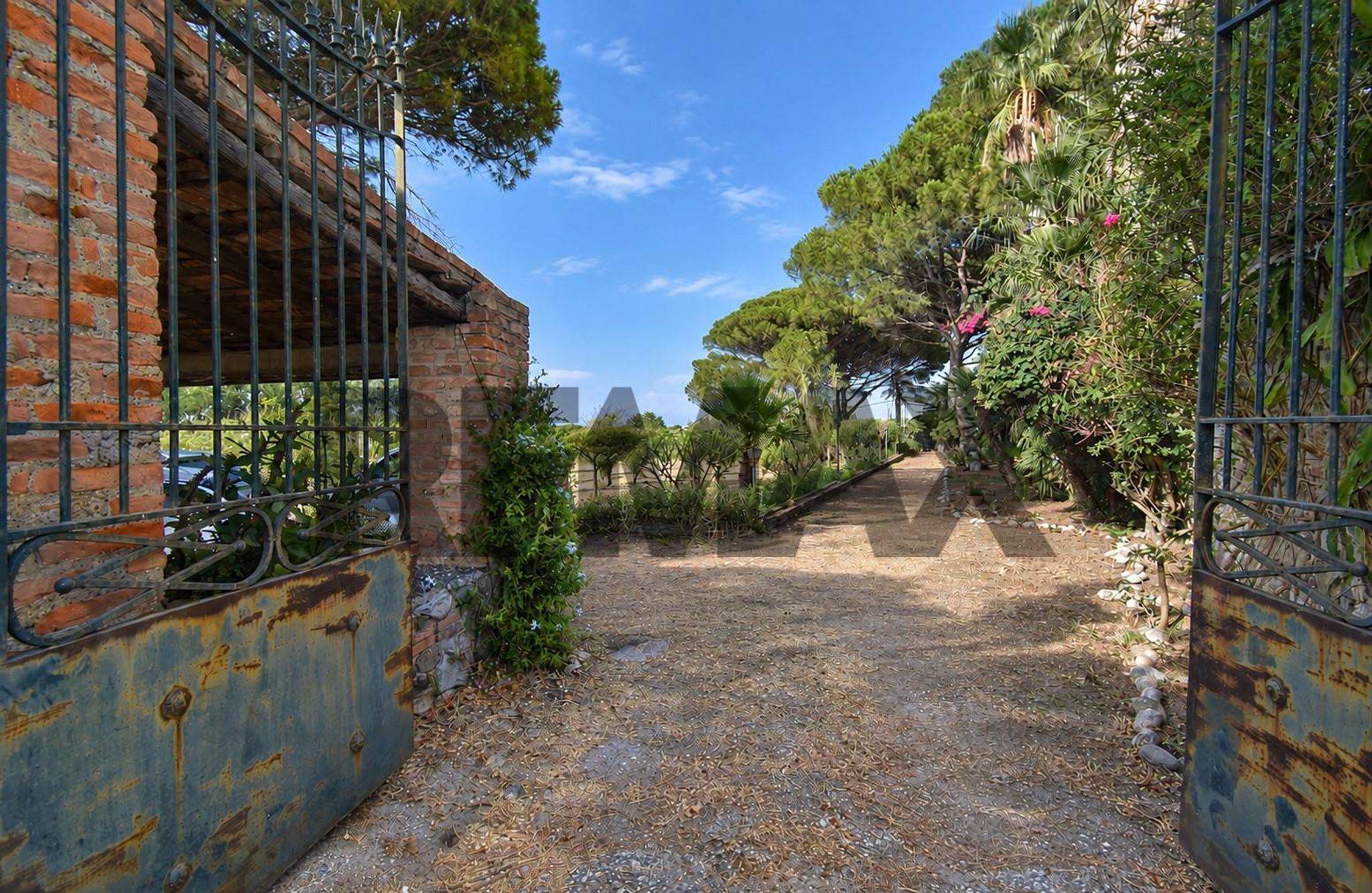 Giardino