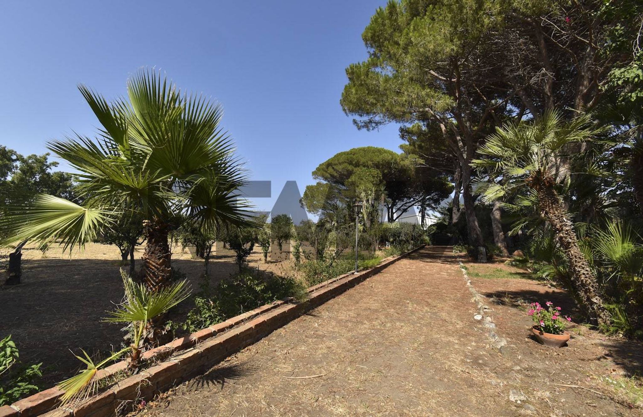 Giardino