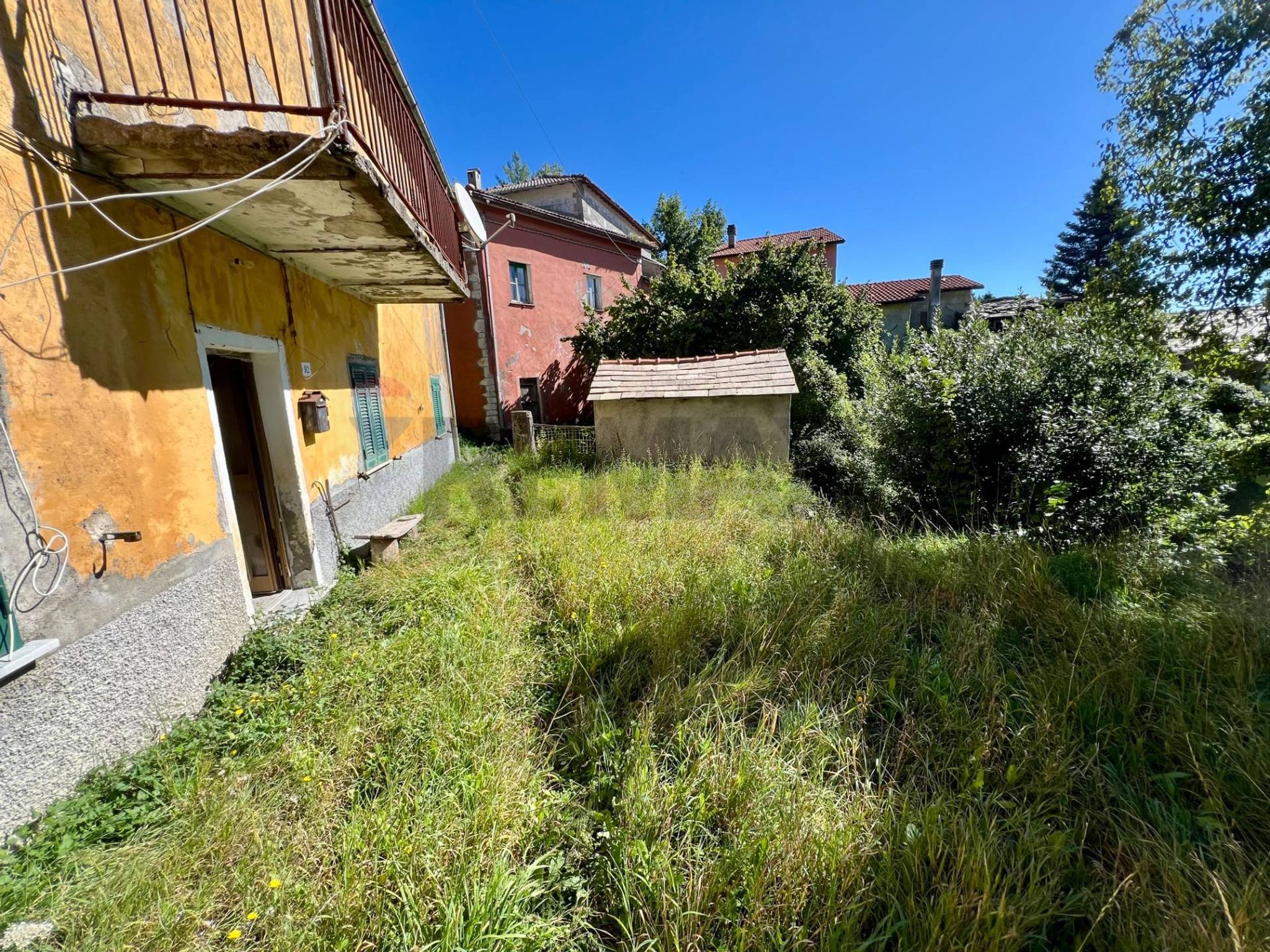 Giardino