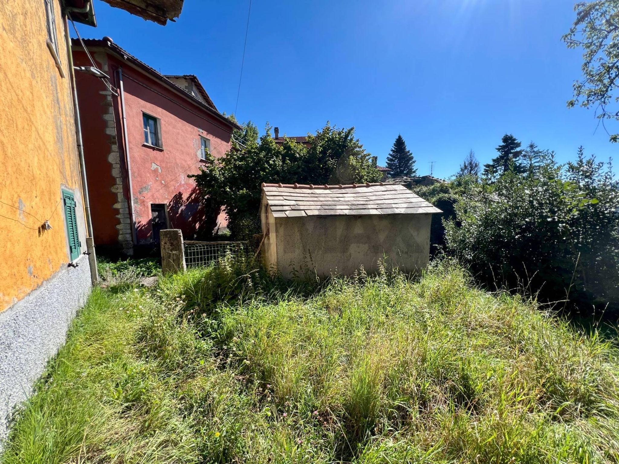 Giardino